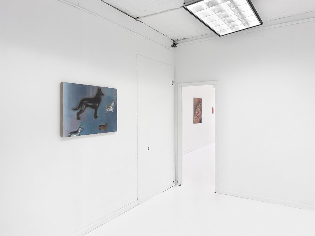  Installation view. 