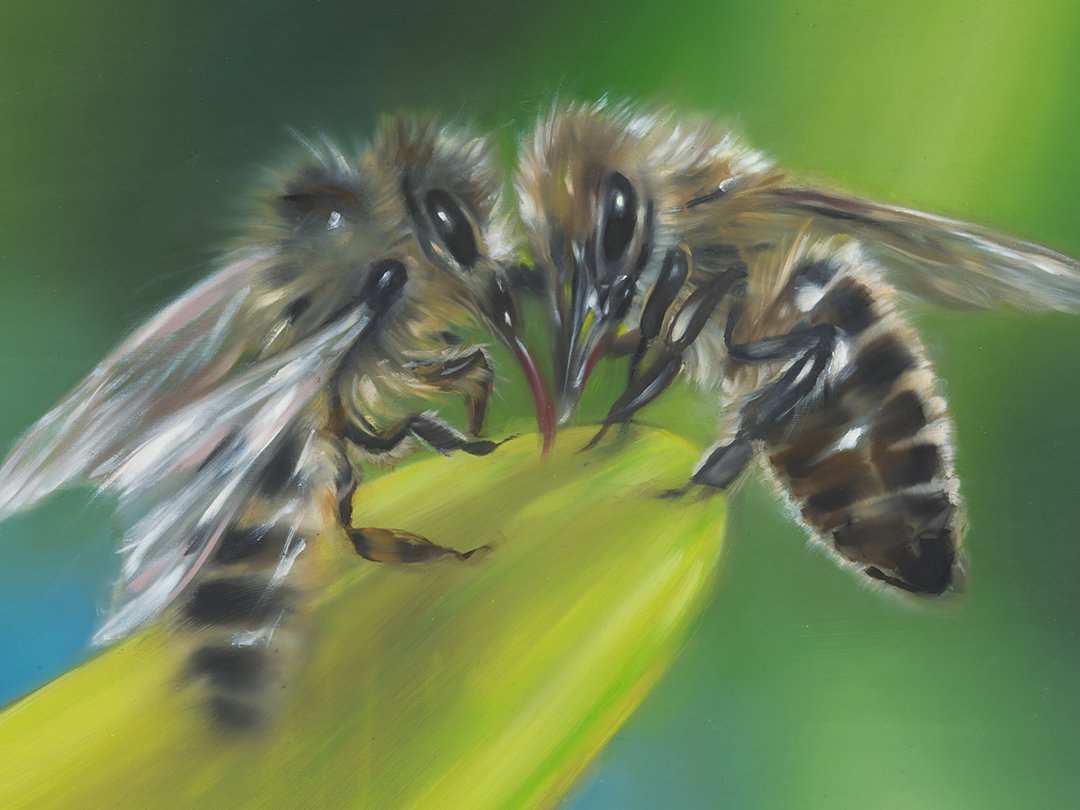   Two bees  (detail),   2022. Oil on canvas. 14 x 18 inches. 