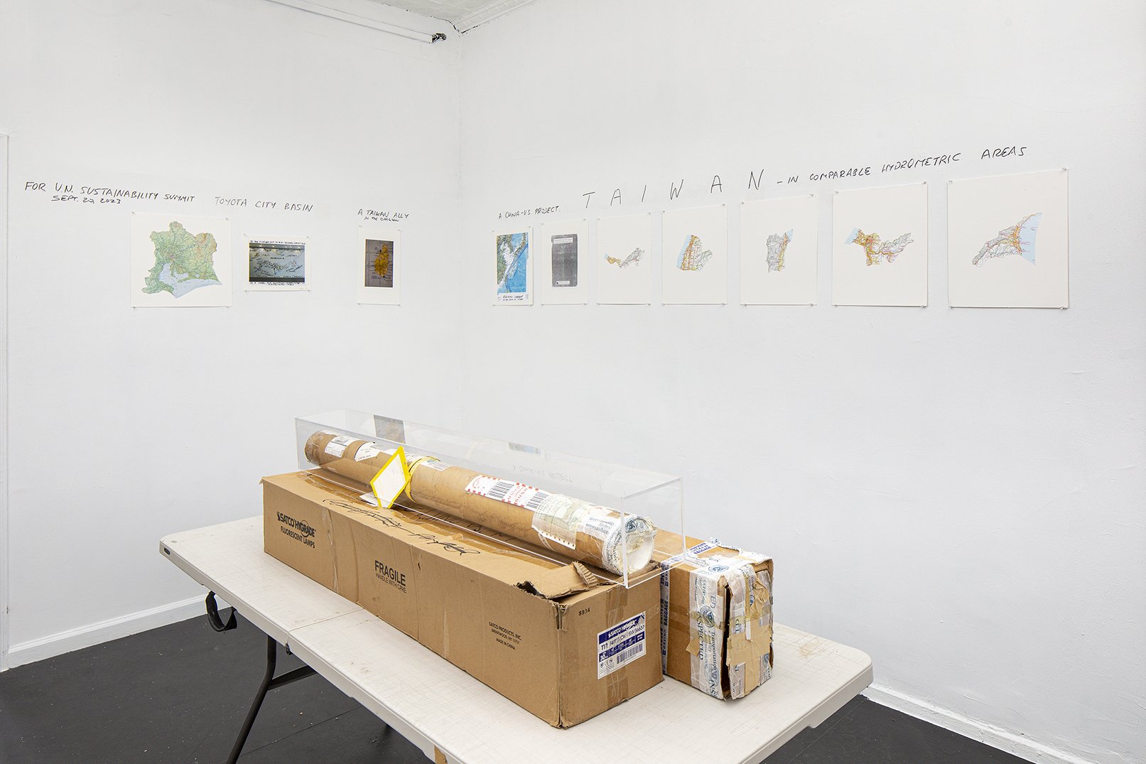  Installation view. 