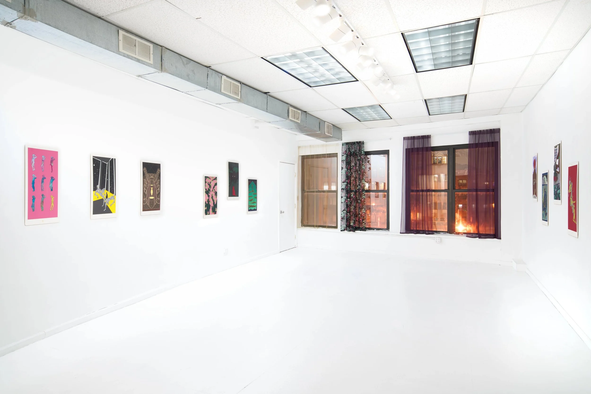  Installation view. 
