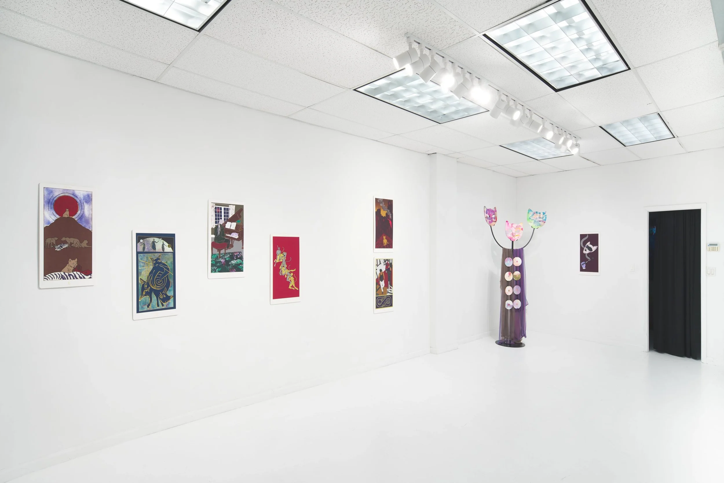  Installation view. 