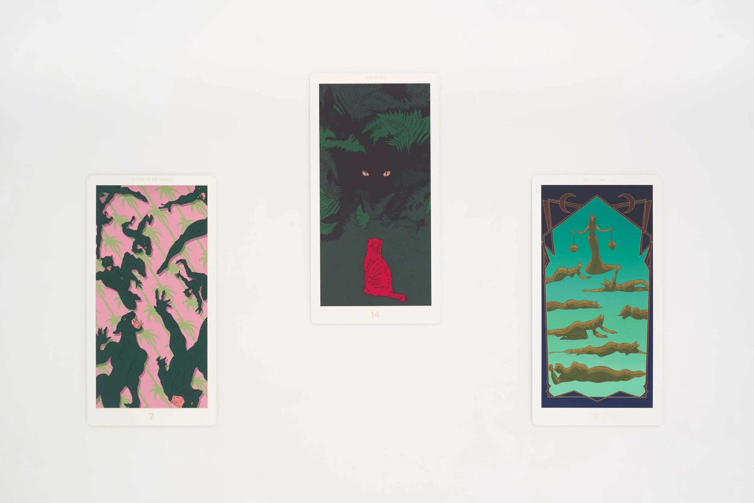  Installation view. 