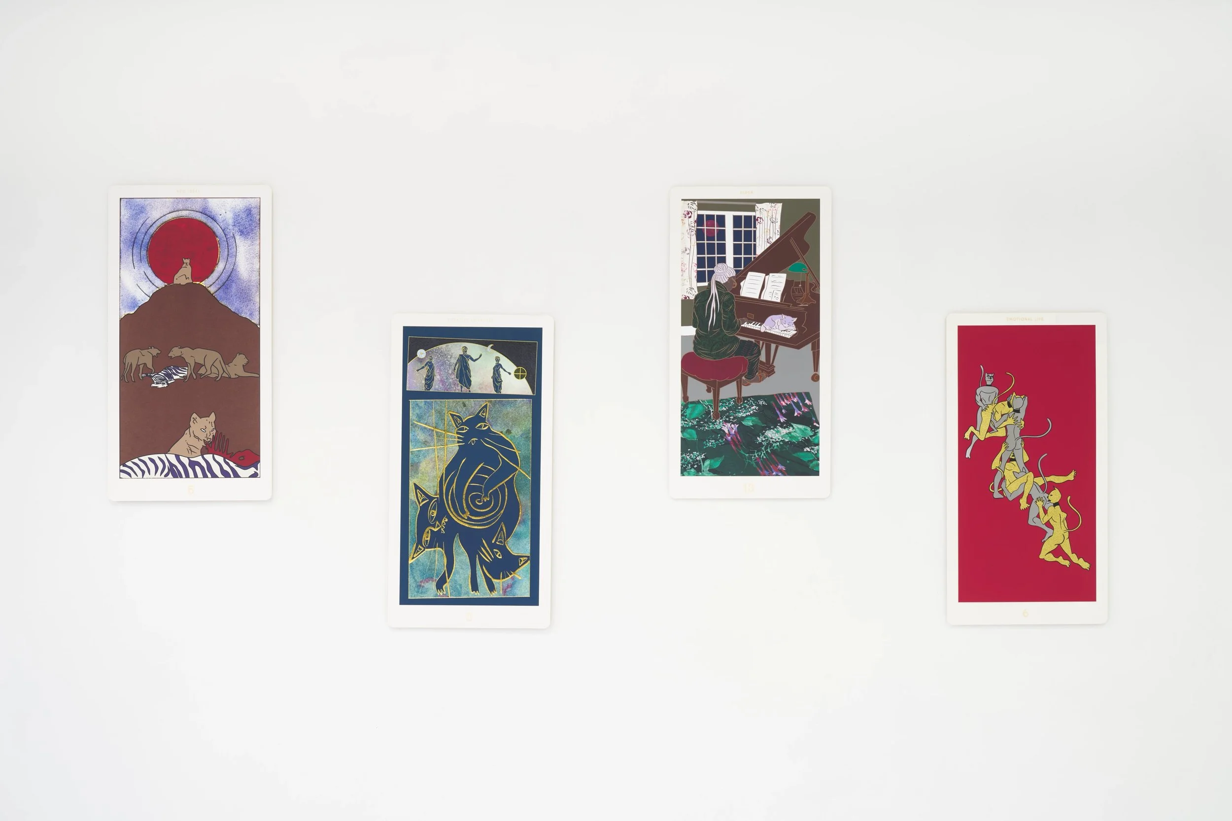  Installation view. 