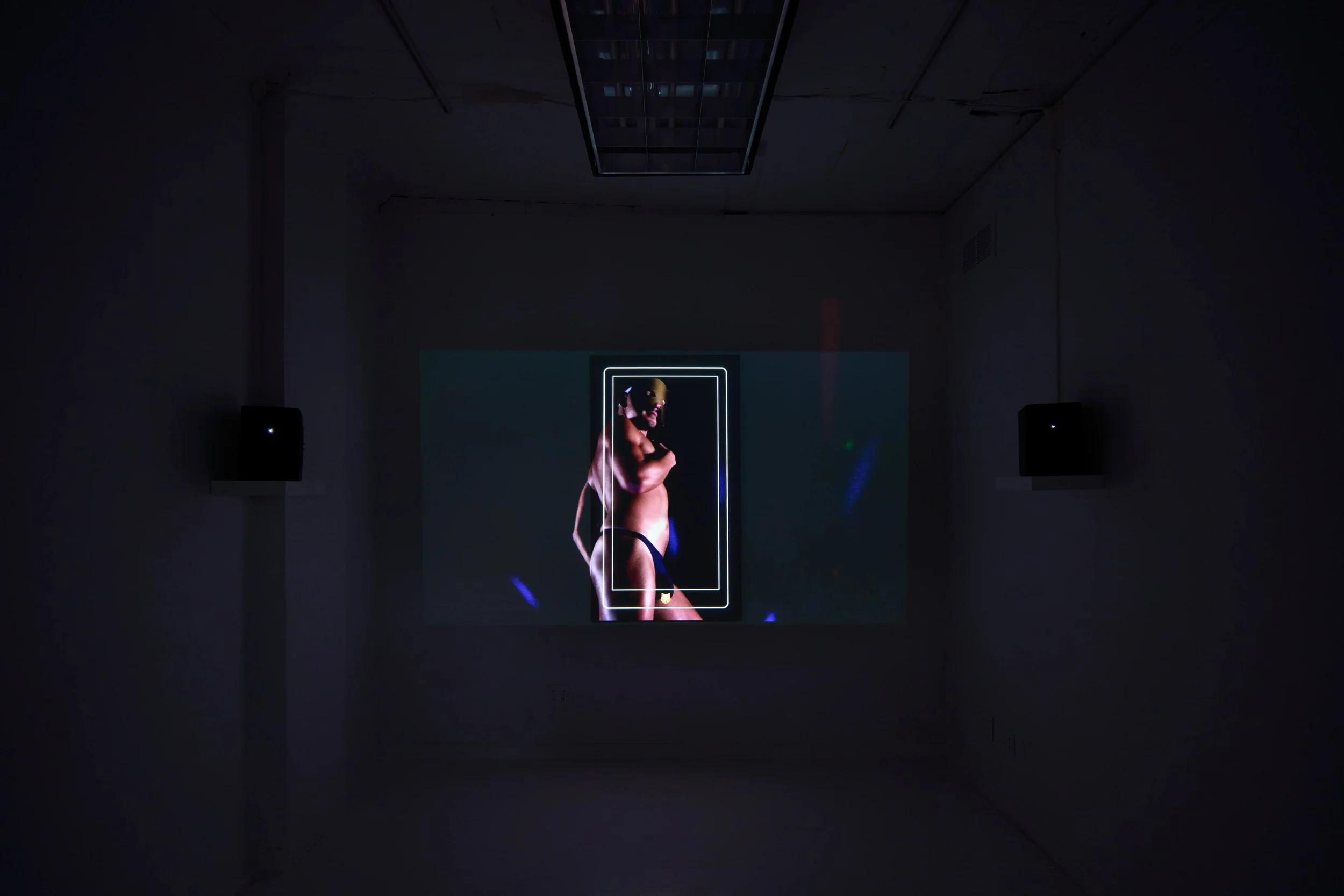  Installation view of  Nine of Cats,  2025. Single channel 4K video installation 9 minute loop. 