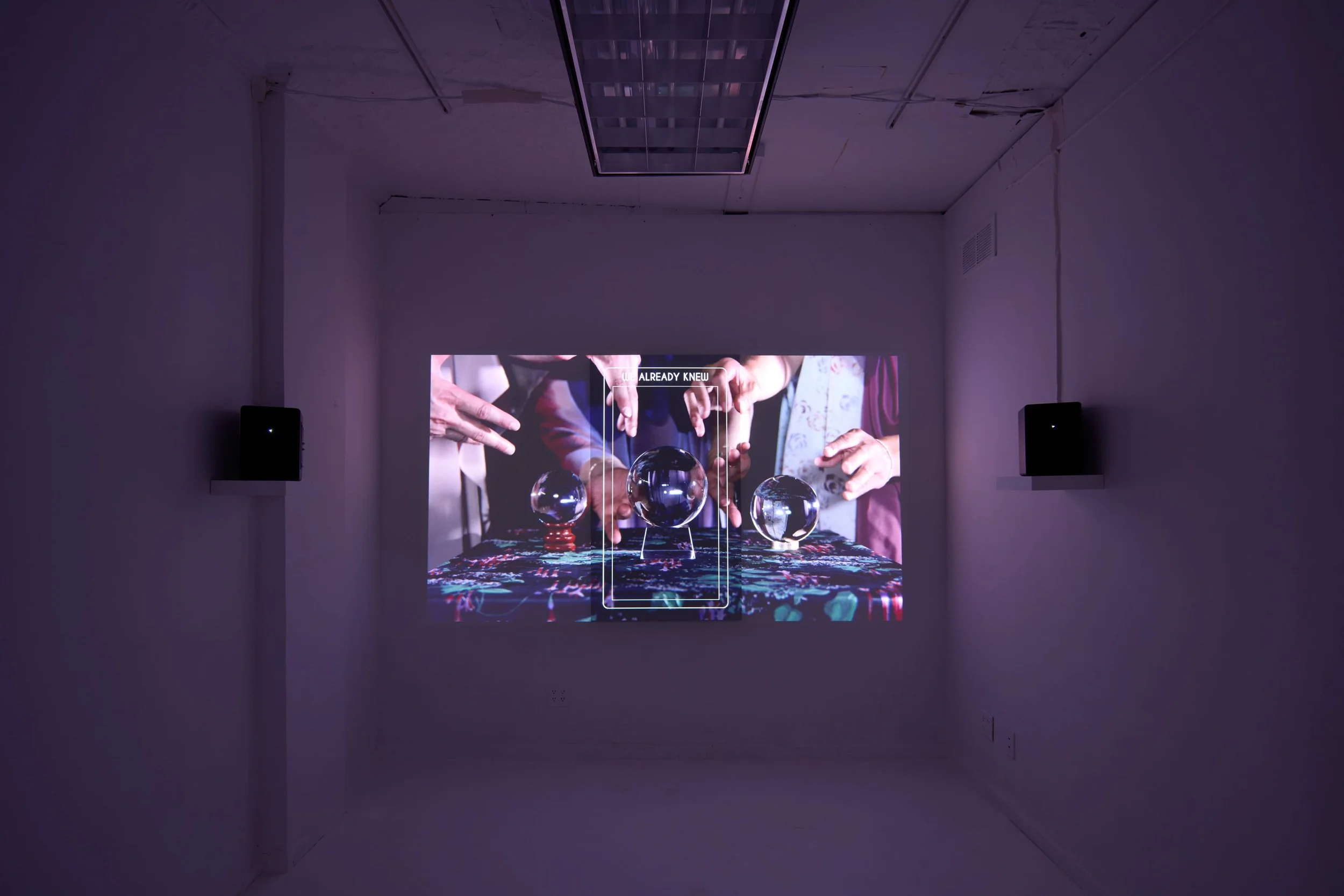  Installation view of  Nine of Cats,  2025. Single channel 4K video installation 9 minute loop. 