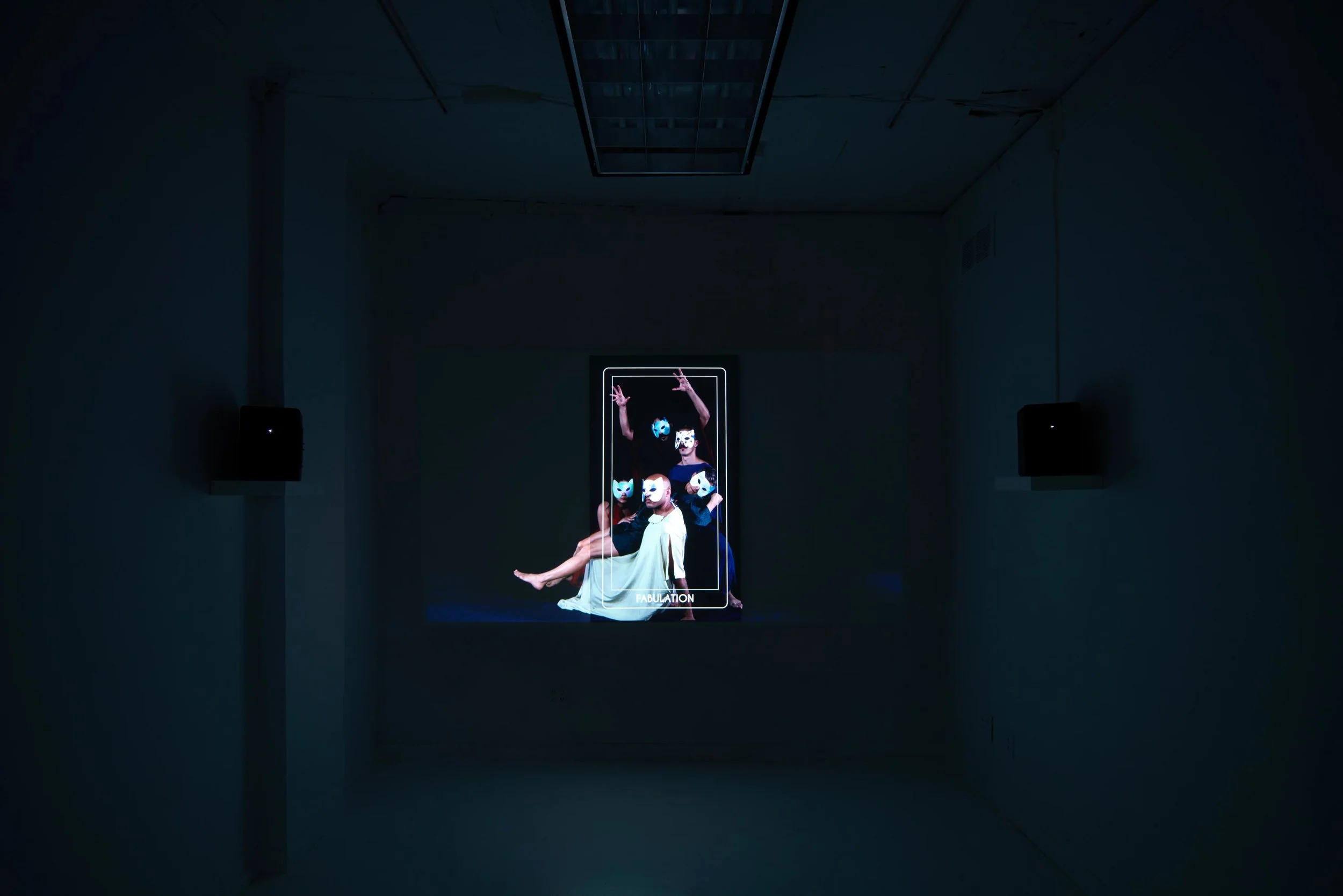  Installation view of  Nine of Cats,  2025. Single channel 4K video installation 9 minute loop. 