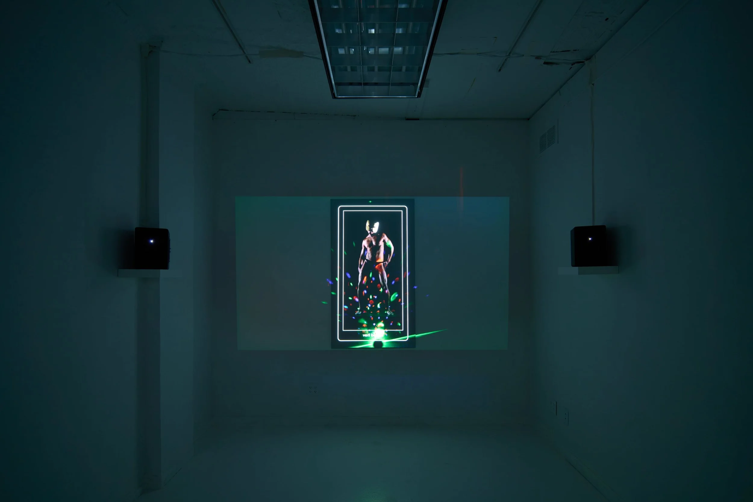  Installation view of  Nine of Cats,  2025. Single channel 4K video installation 9 minute loop. 