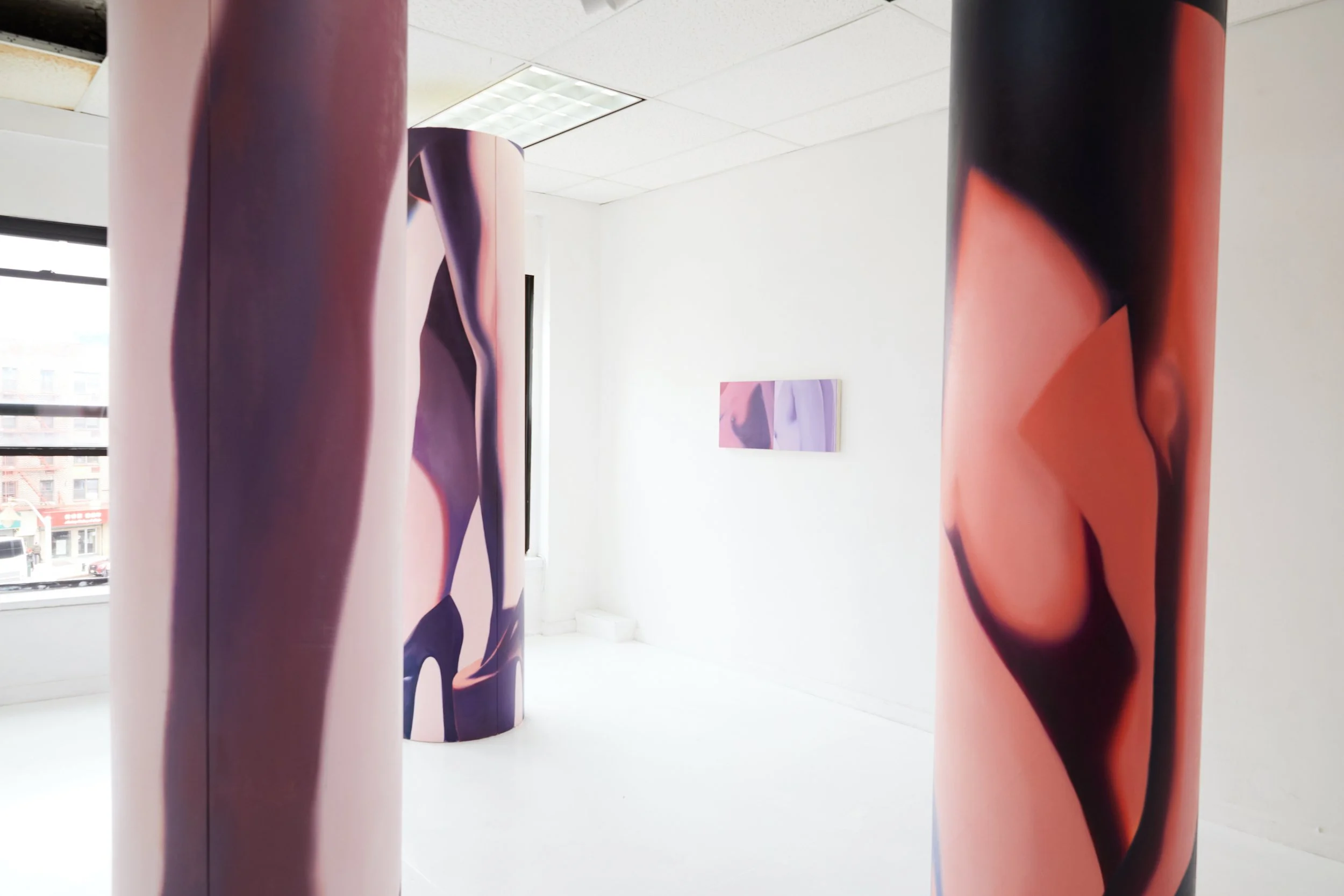  Installation view. 