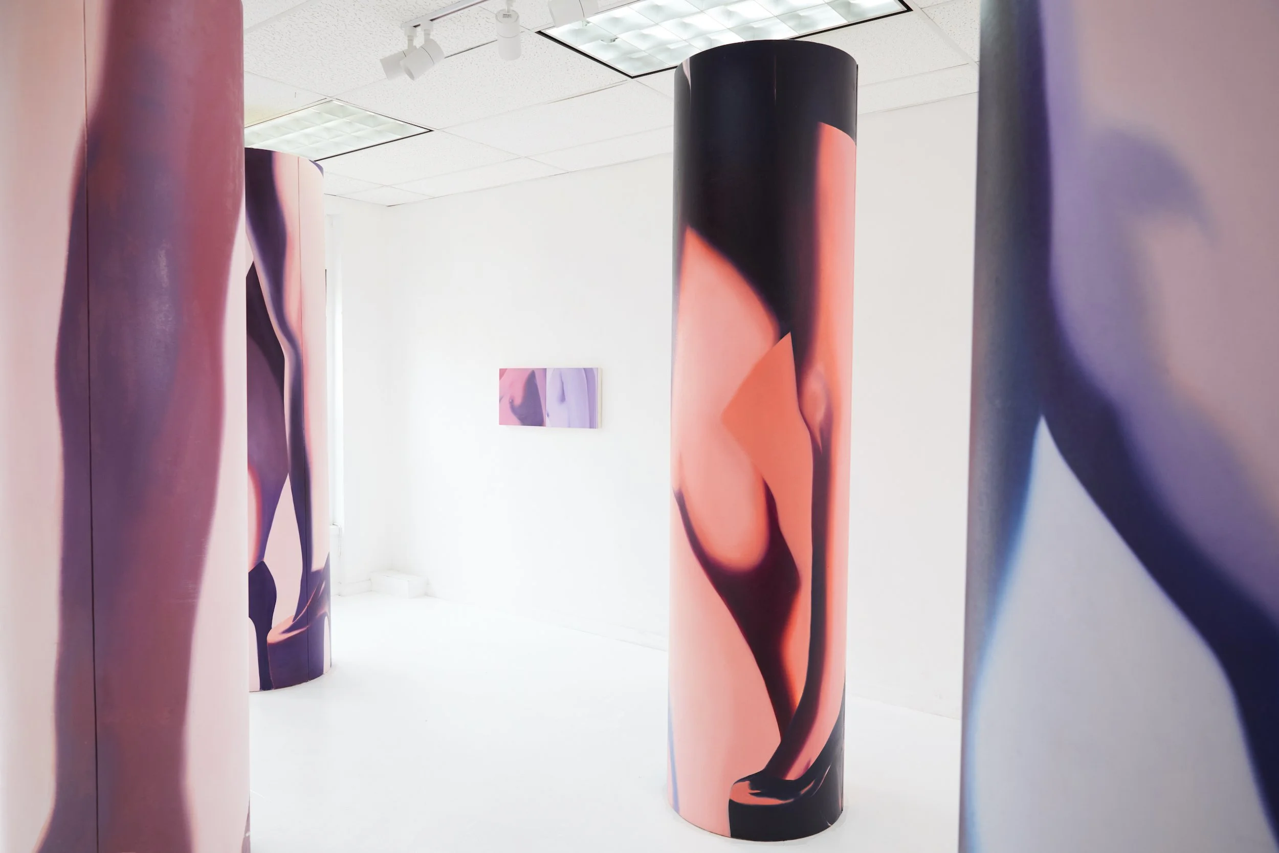  Installation view. 