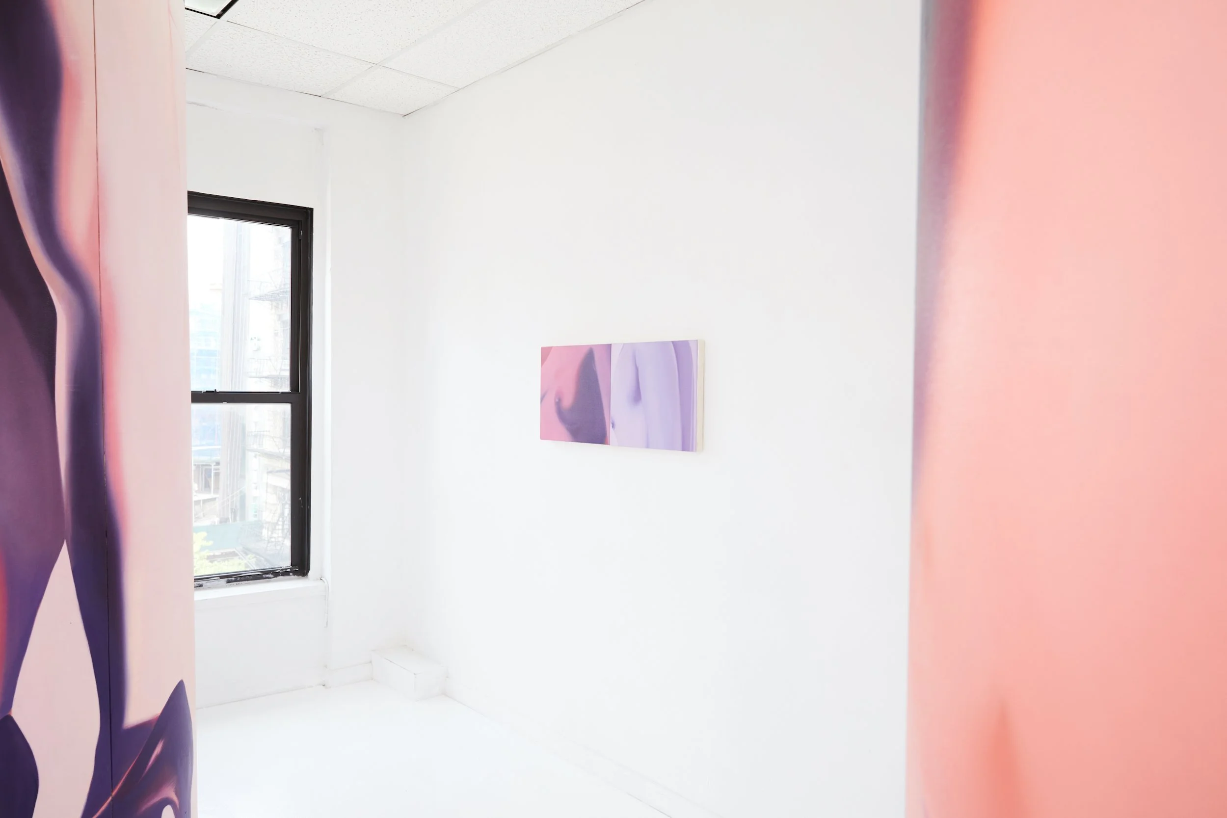  Installation view. 