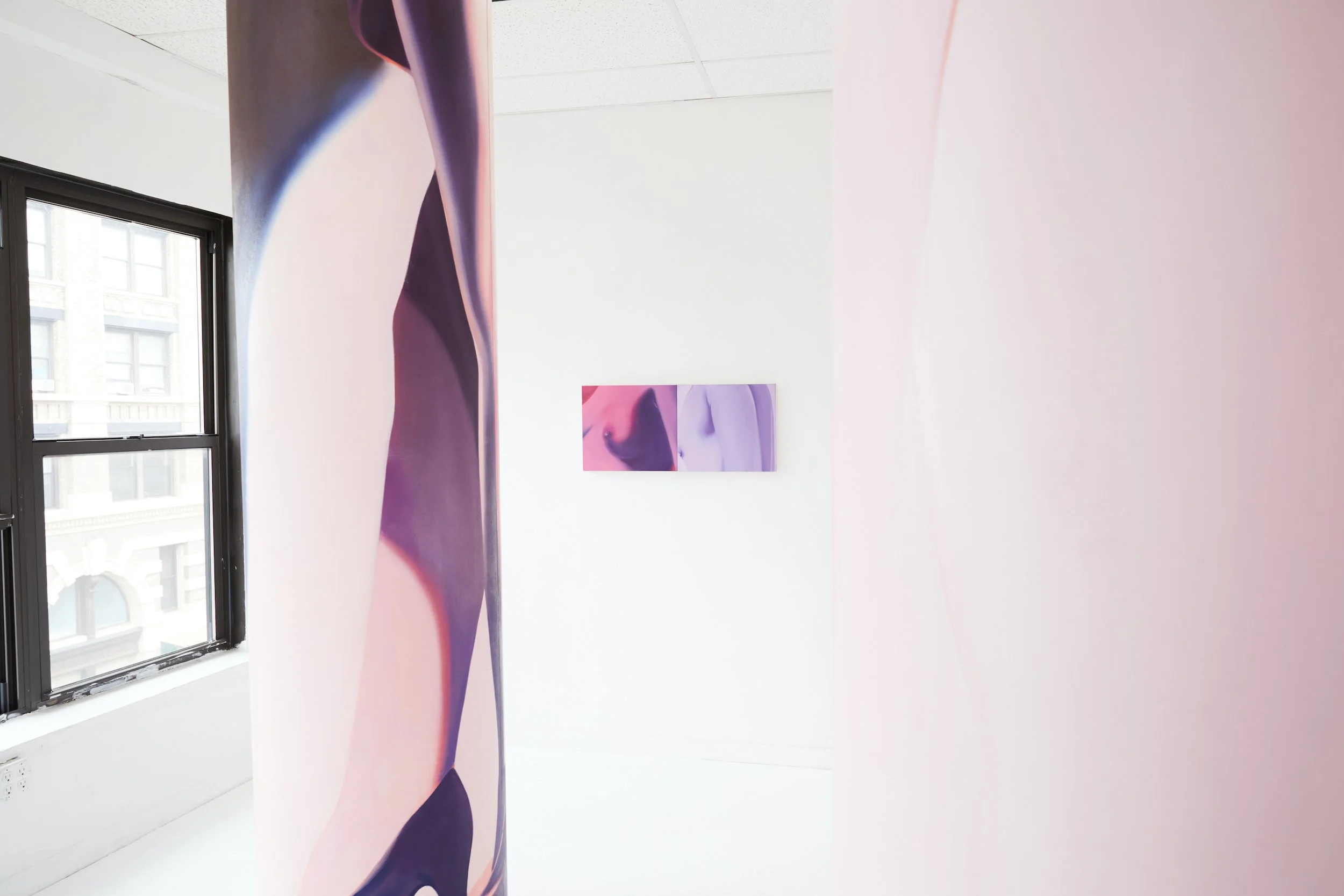  Installation view. 