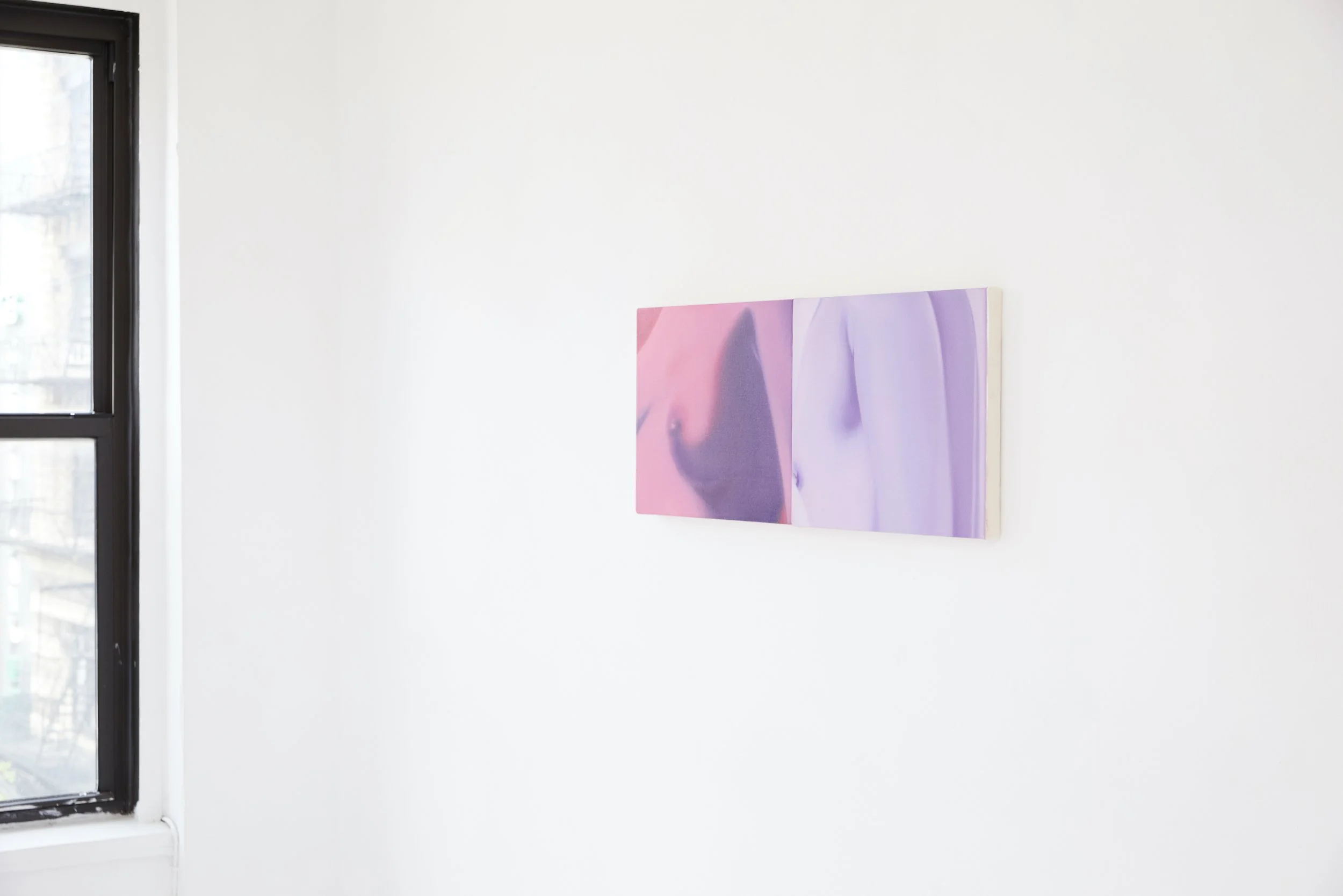  Installation view. 