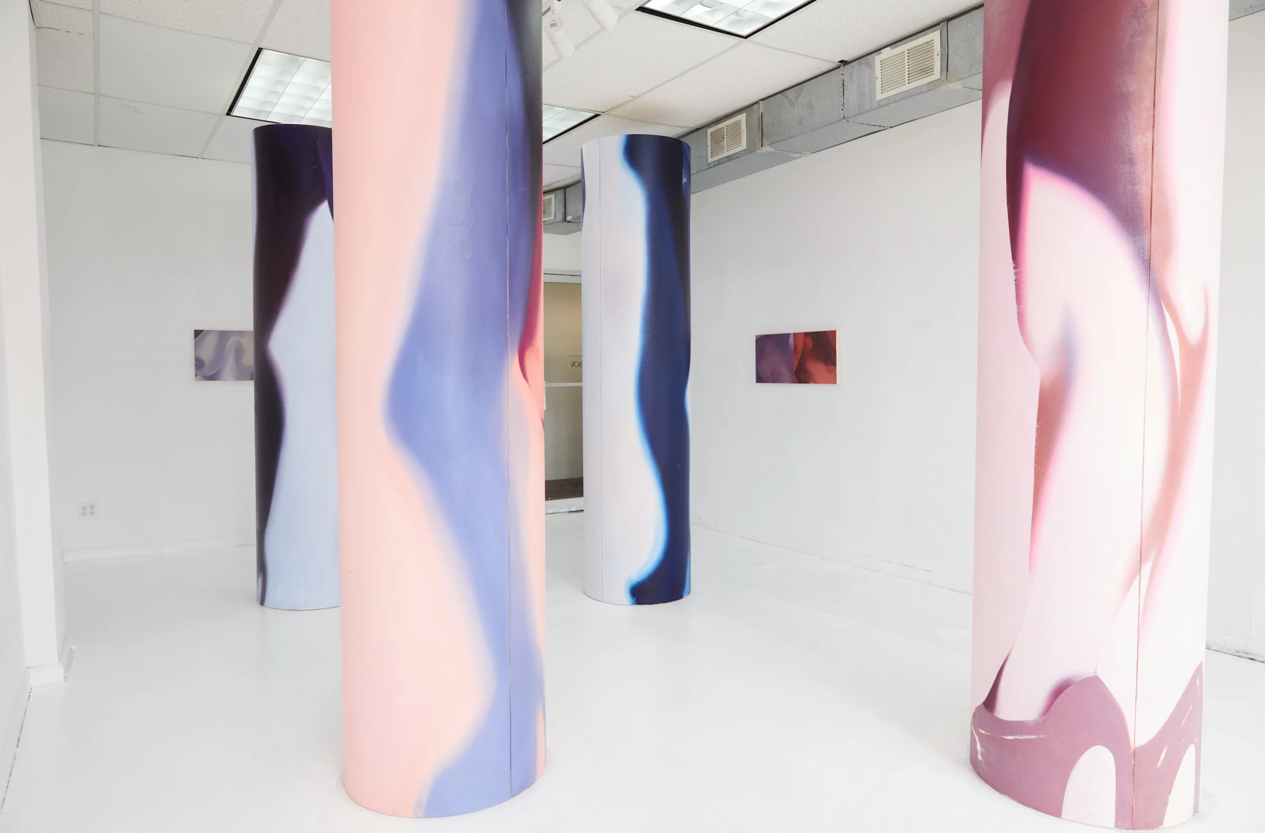  Installation view. 