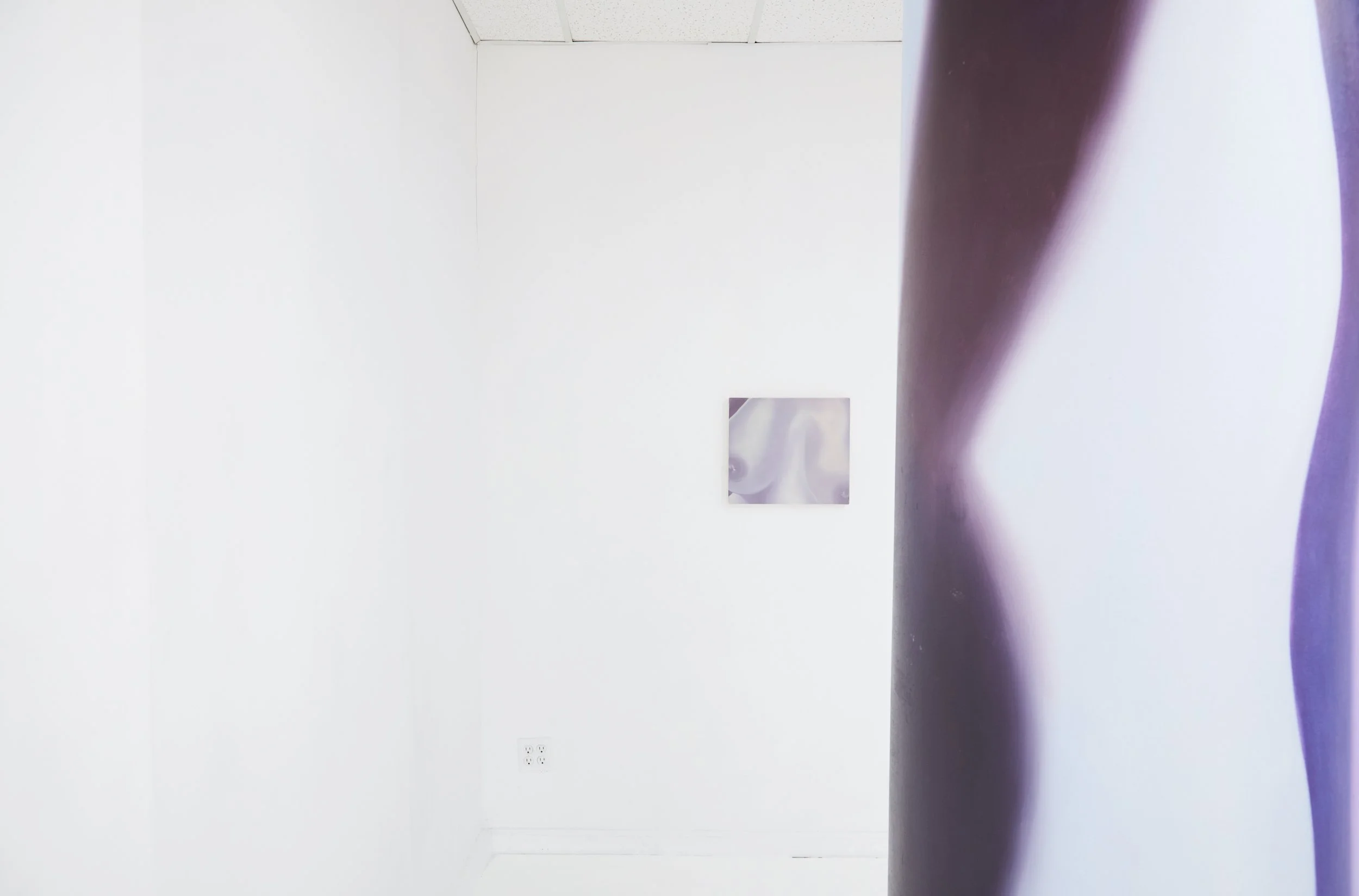  Installation view. 