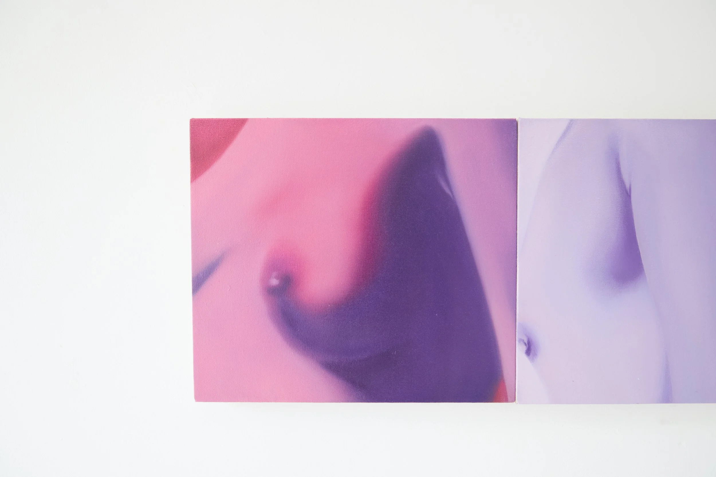  Installation view. 