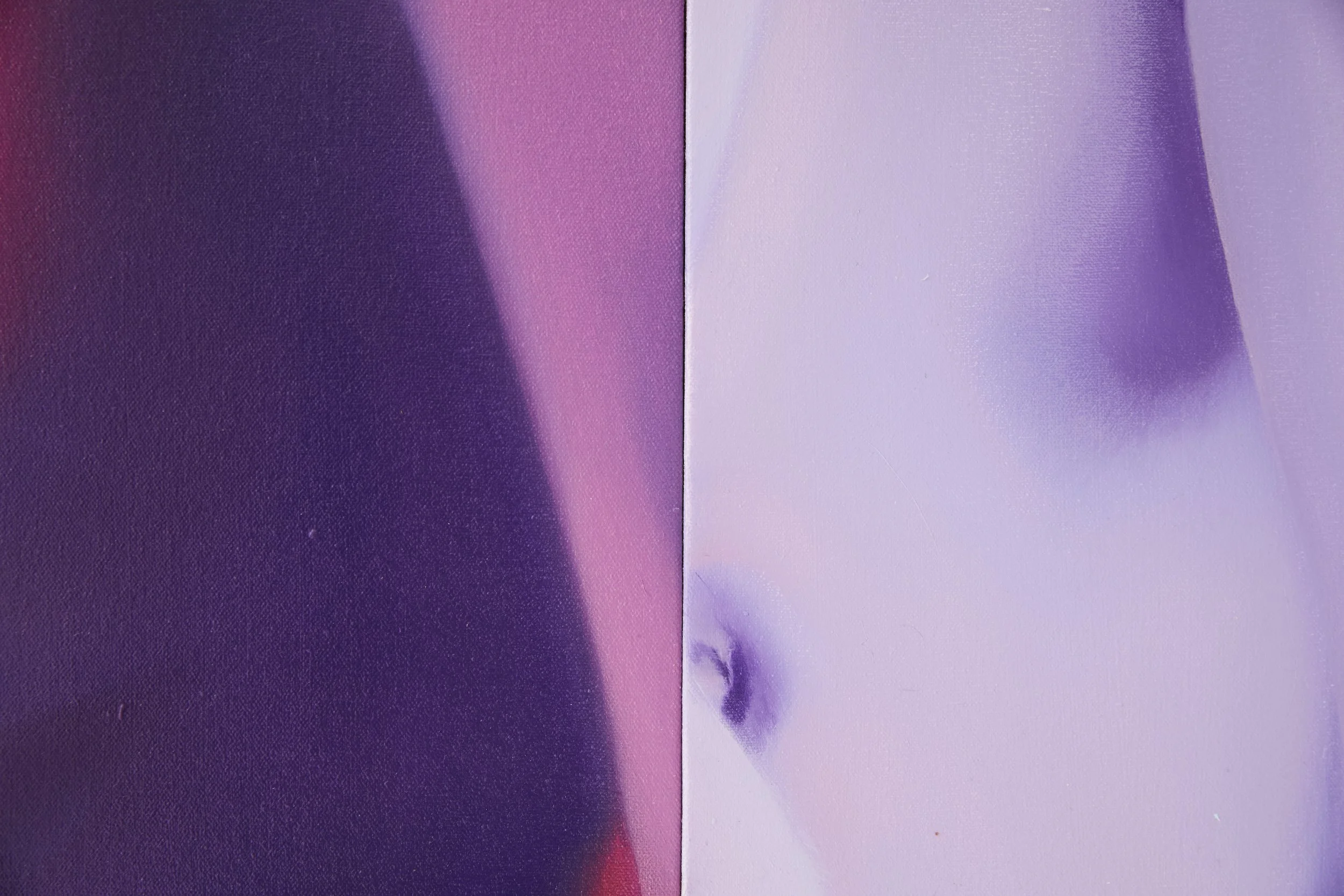  Installation view. 