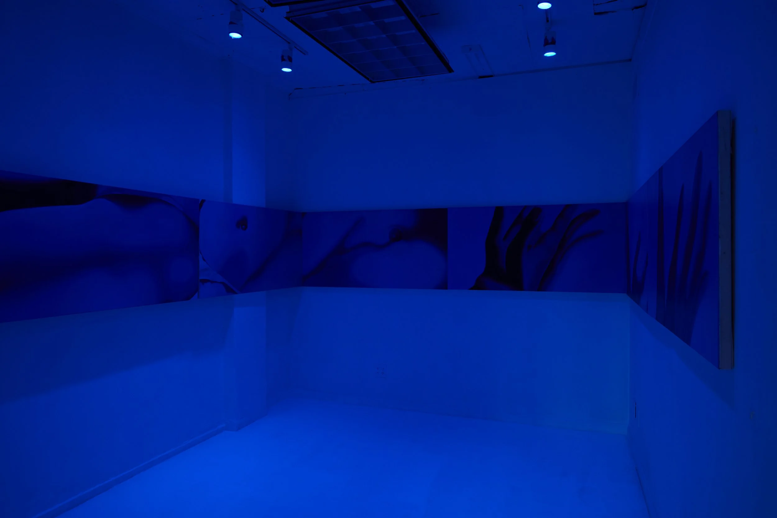  Installation view. 