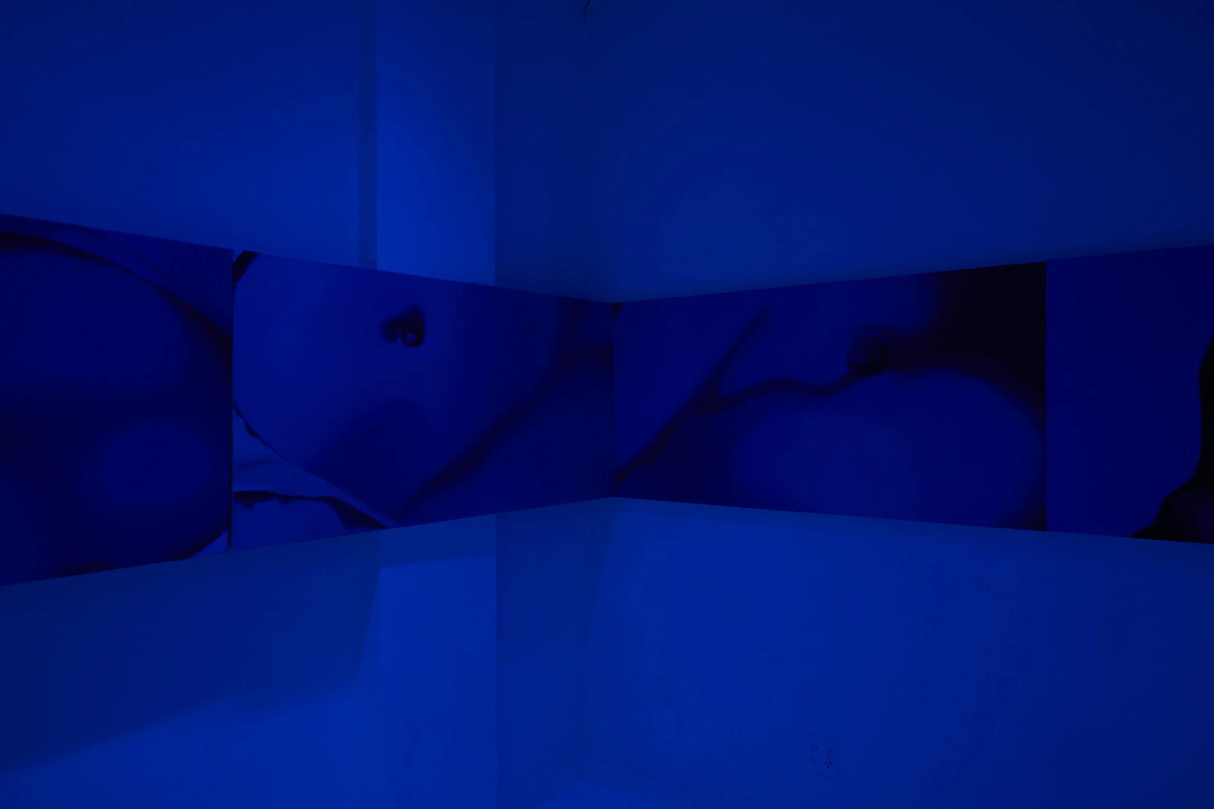  Installation view. 
