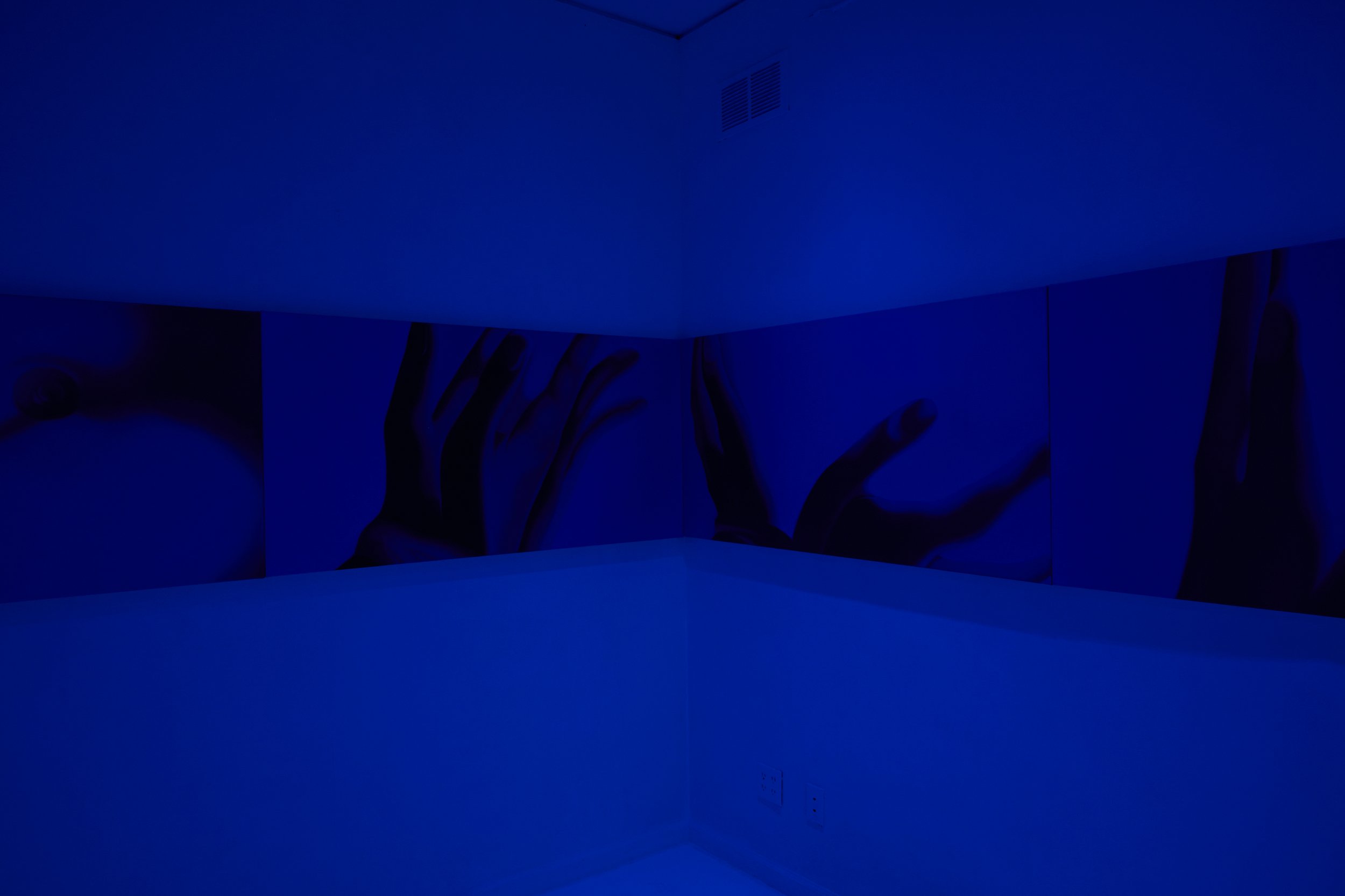  Installation view. 