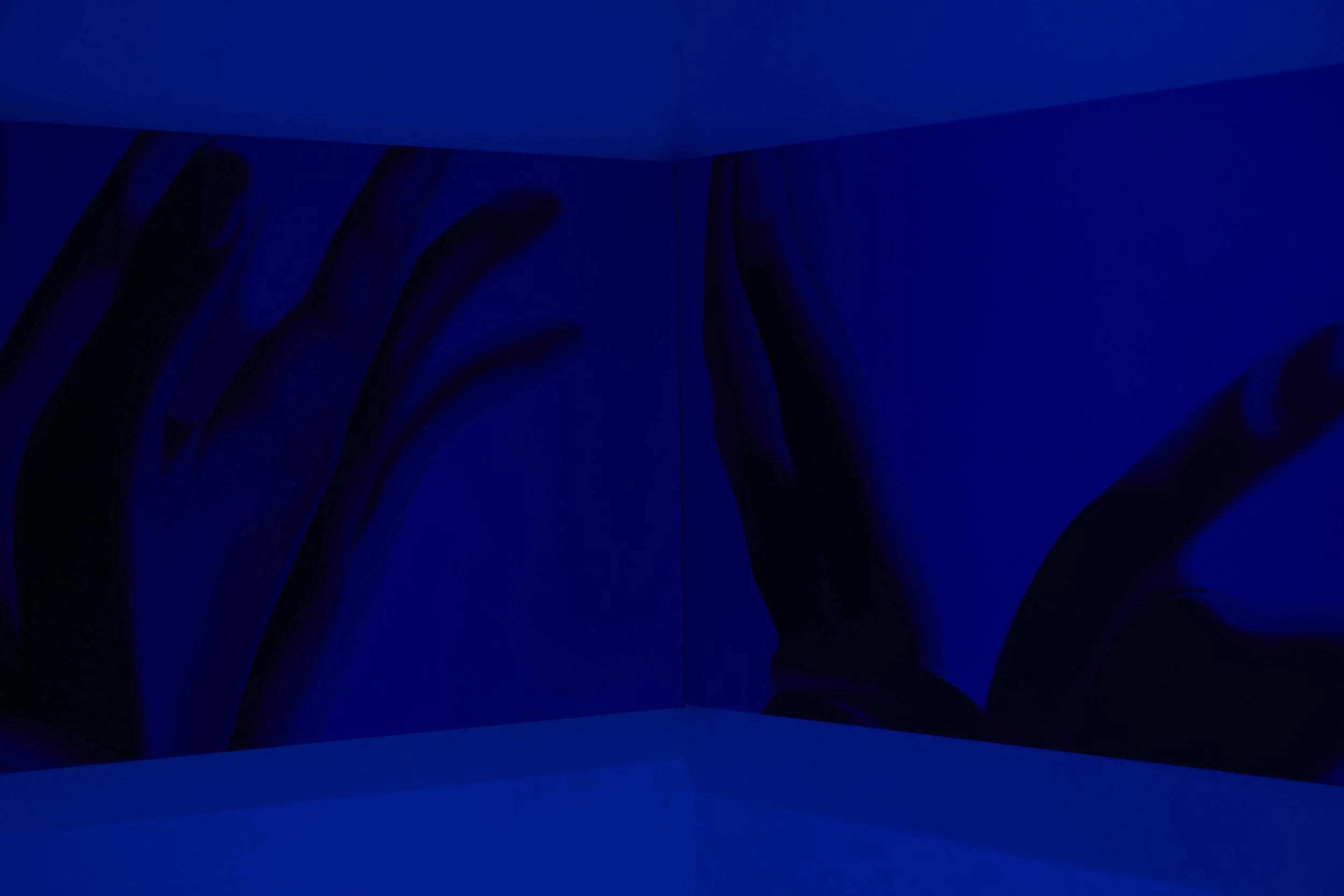  Installation view. 