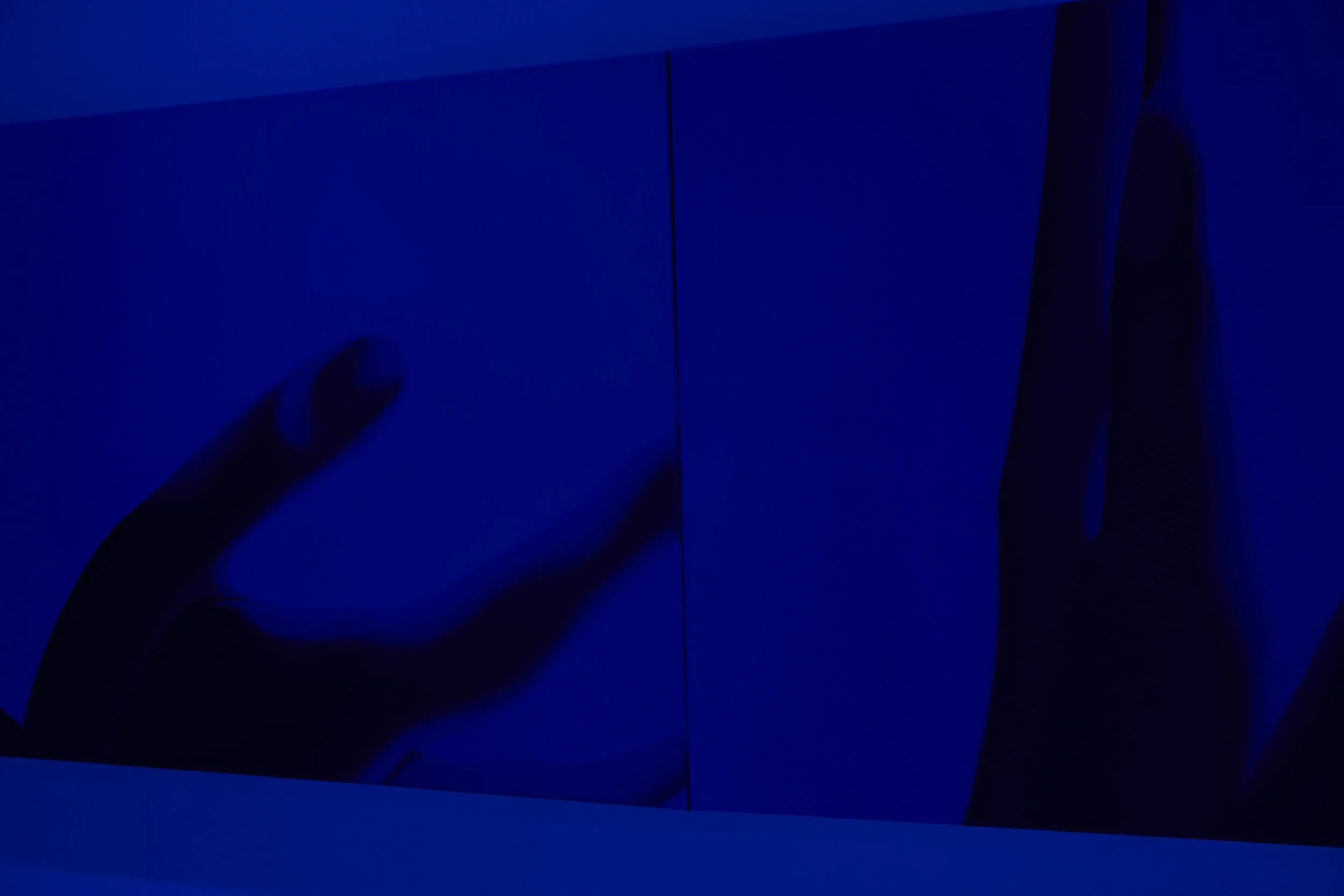  Installation view. 