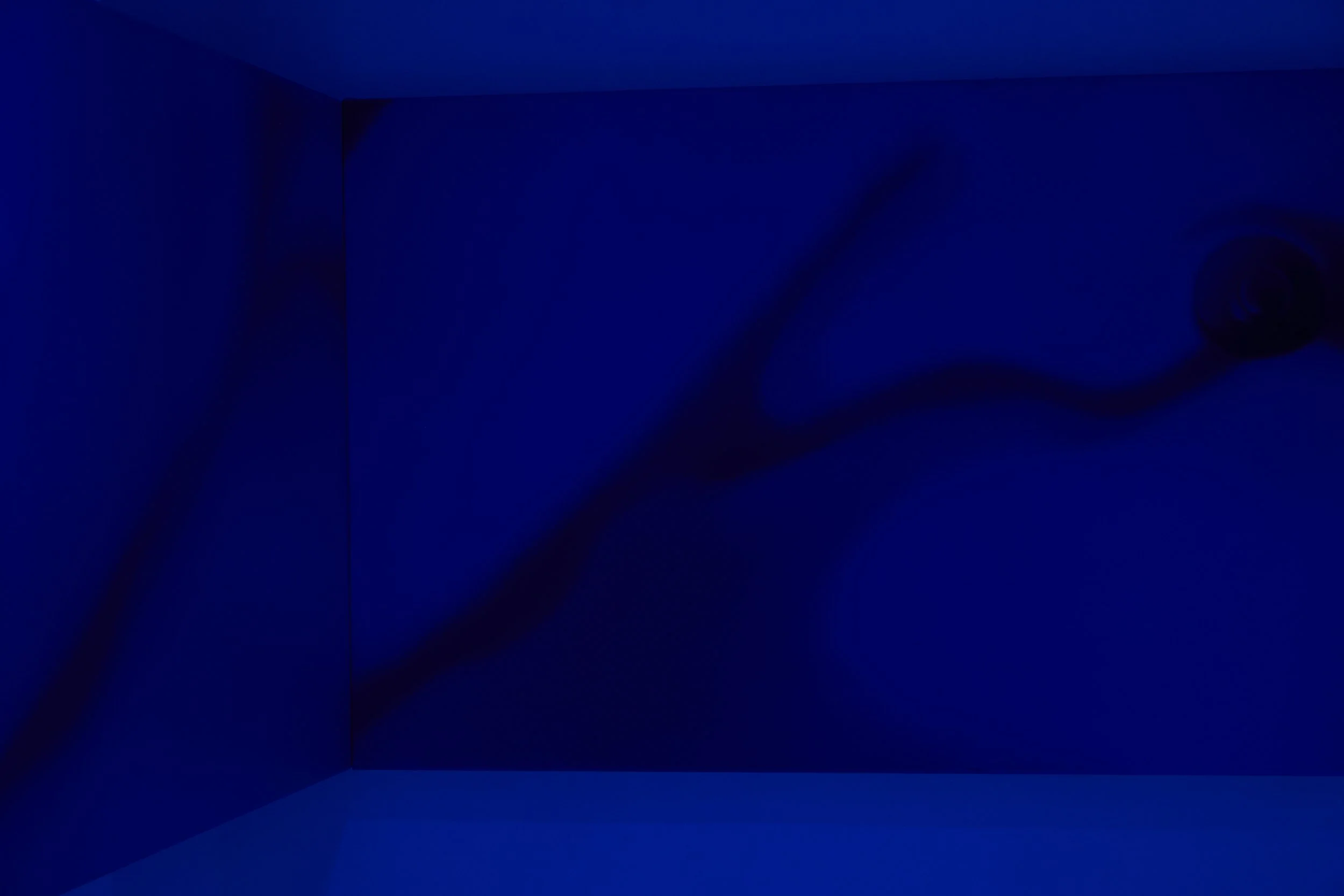 Installation view. 