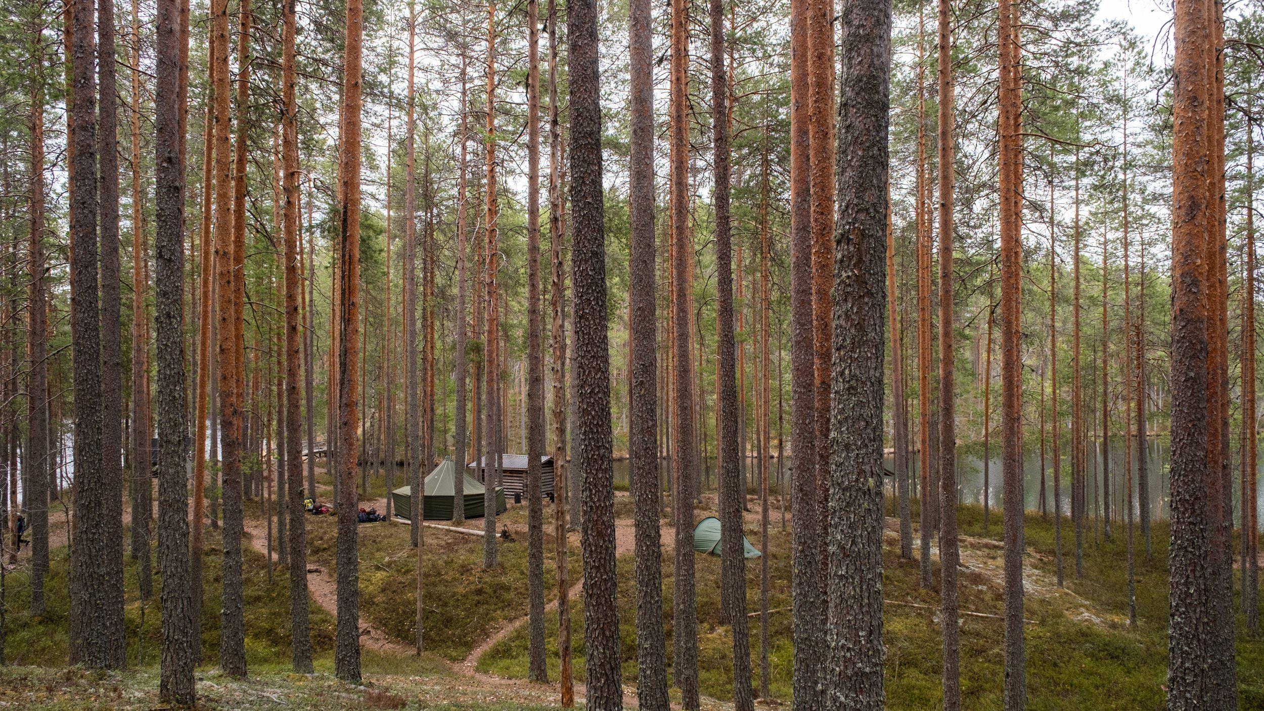 20250517_haka-versojen_kevätretki_jh_115.jpg