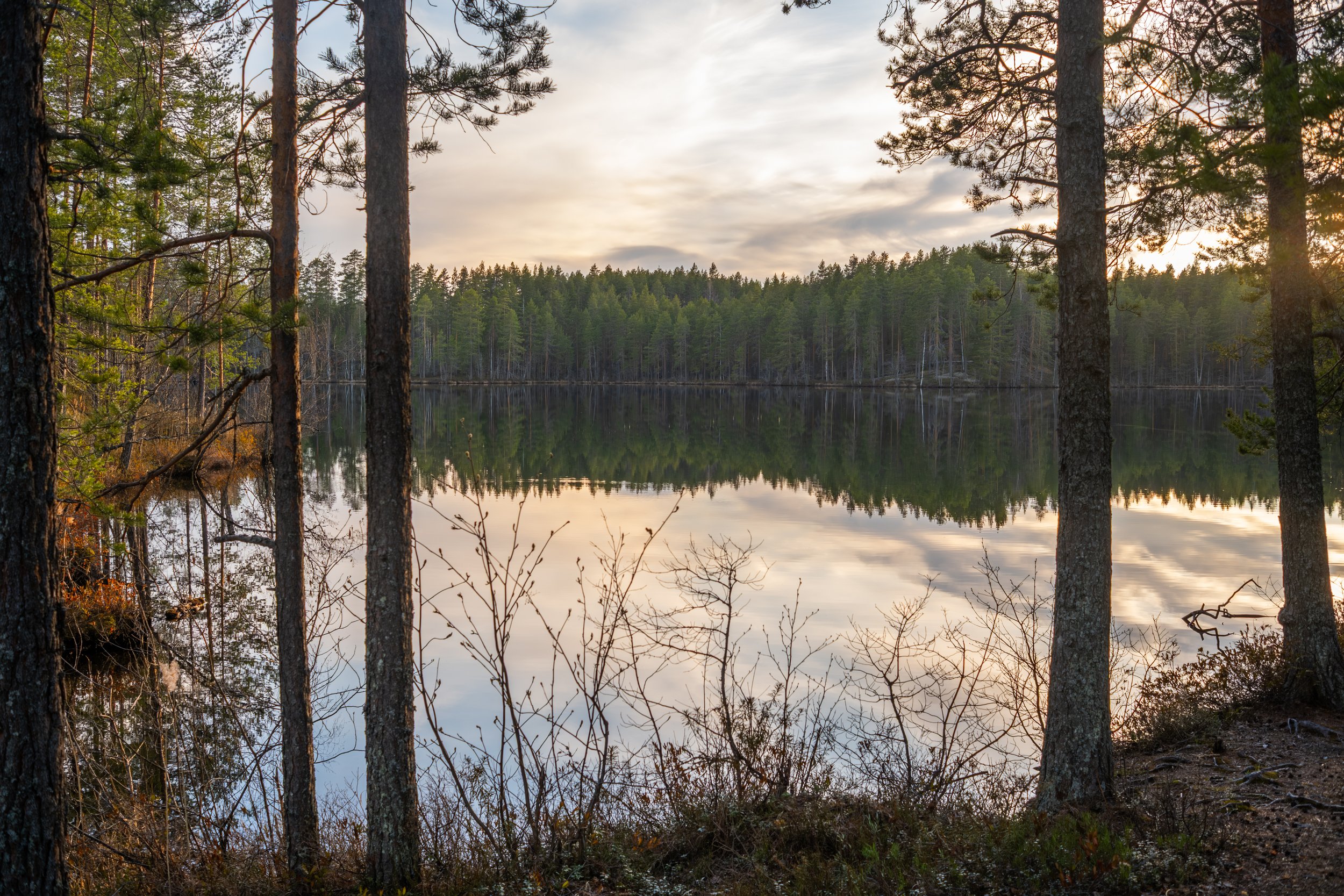 20250516_haka-versojen_kevätretki_jh_101.jpg