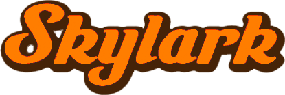 Skylark Bar Brooklyn