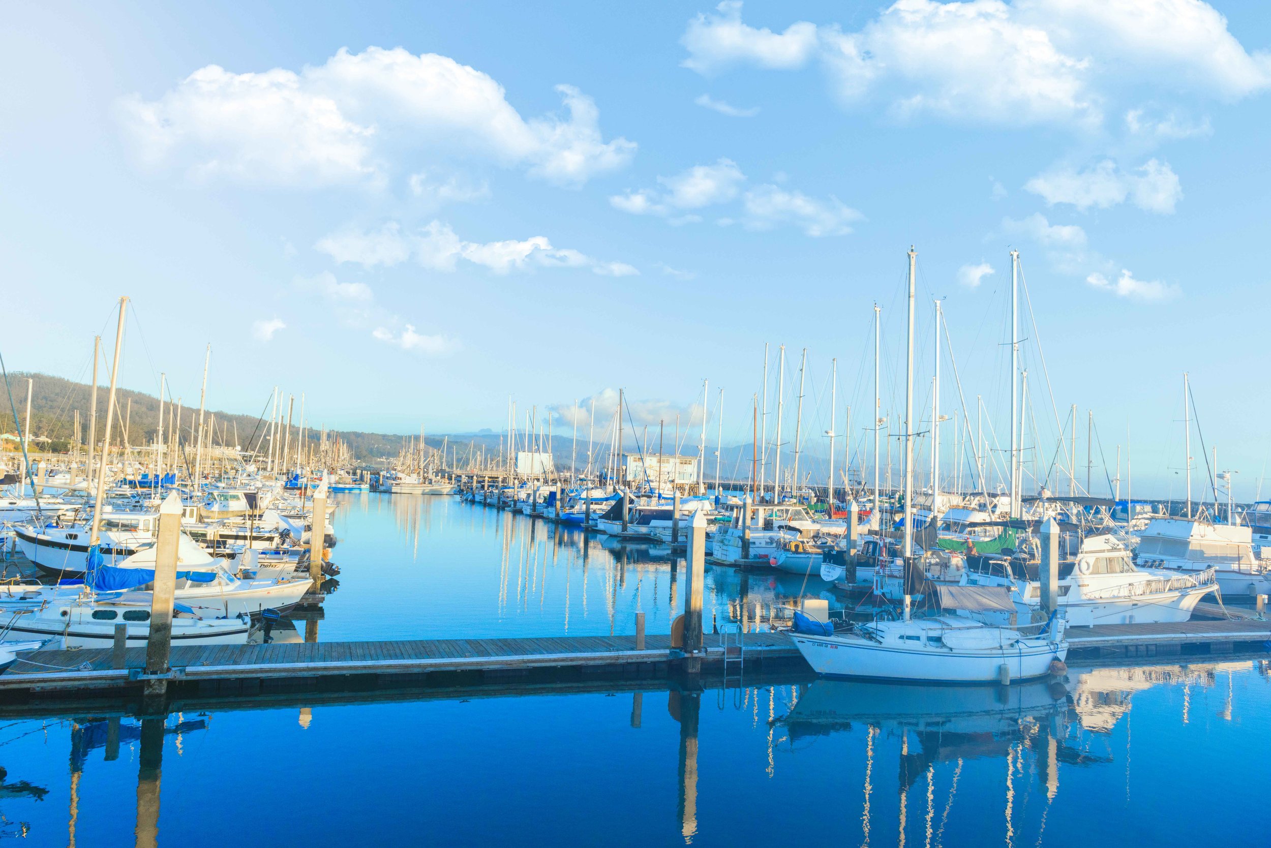  Our studio is steps away from the Half Moon Bay Harbor also known as Pillar Point and Princeton by the Sea. 