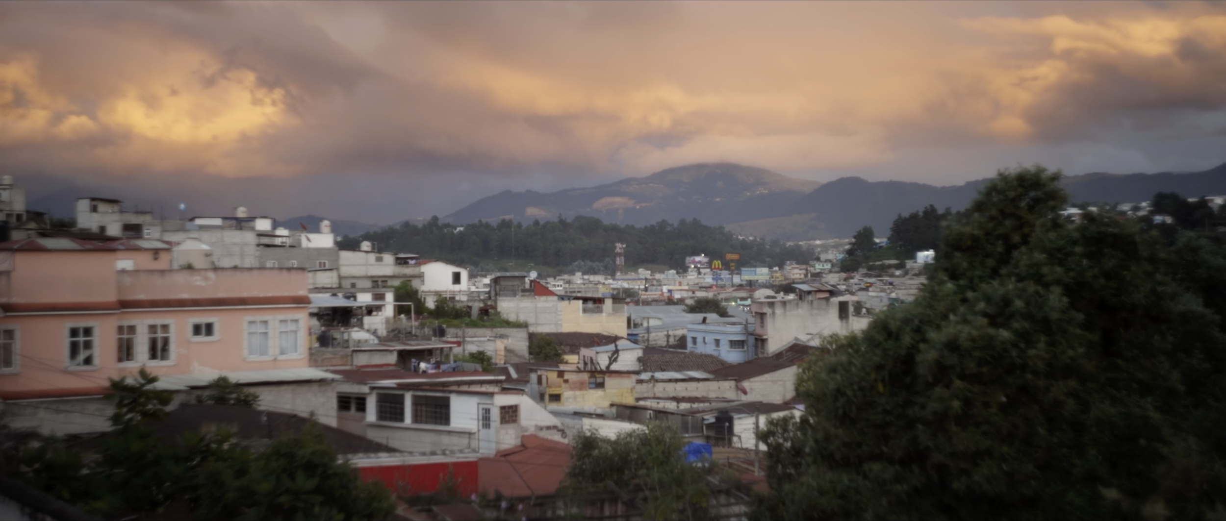 Matthew Harmer - Documentary Cinematographer - Margarita 2.png