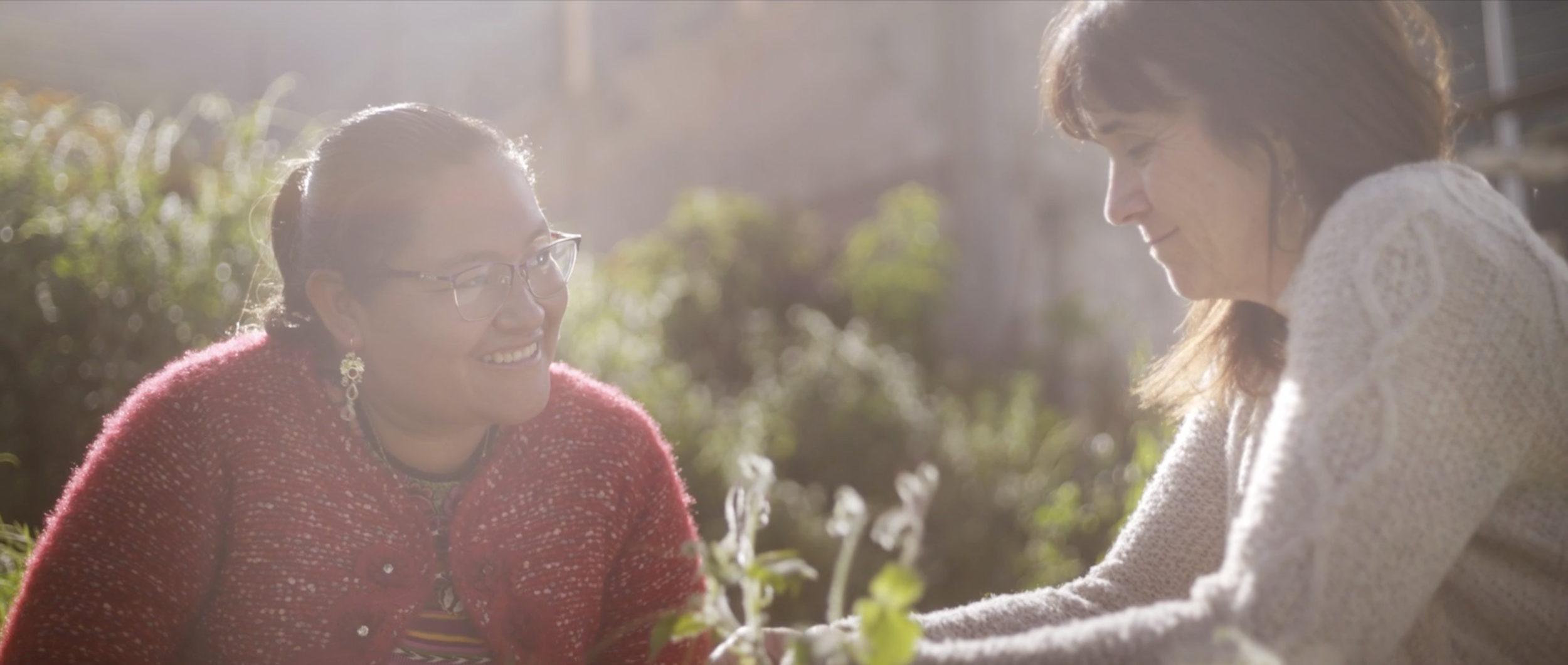 Matthew Harmer - Documentary Cinematographer - Margarita 4.png