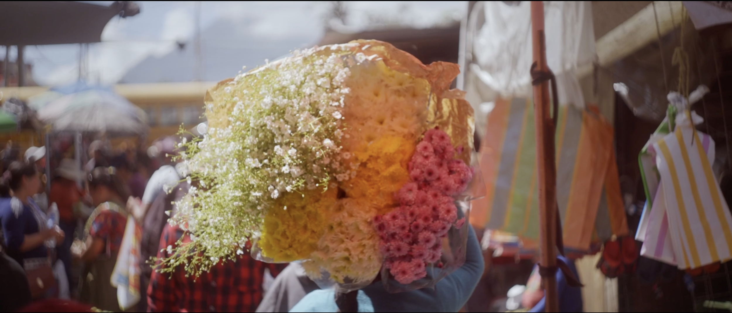 Matthew Harmer - Documentary Cinematographer - Margarita 7.png