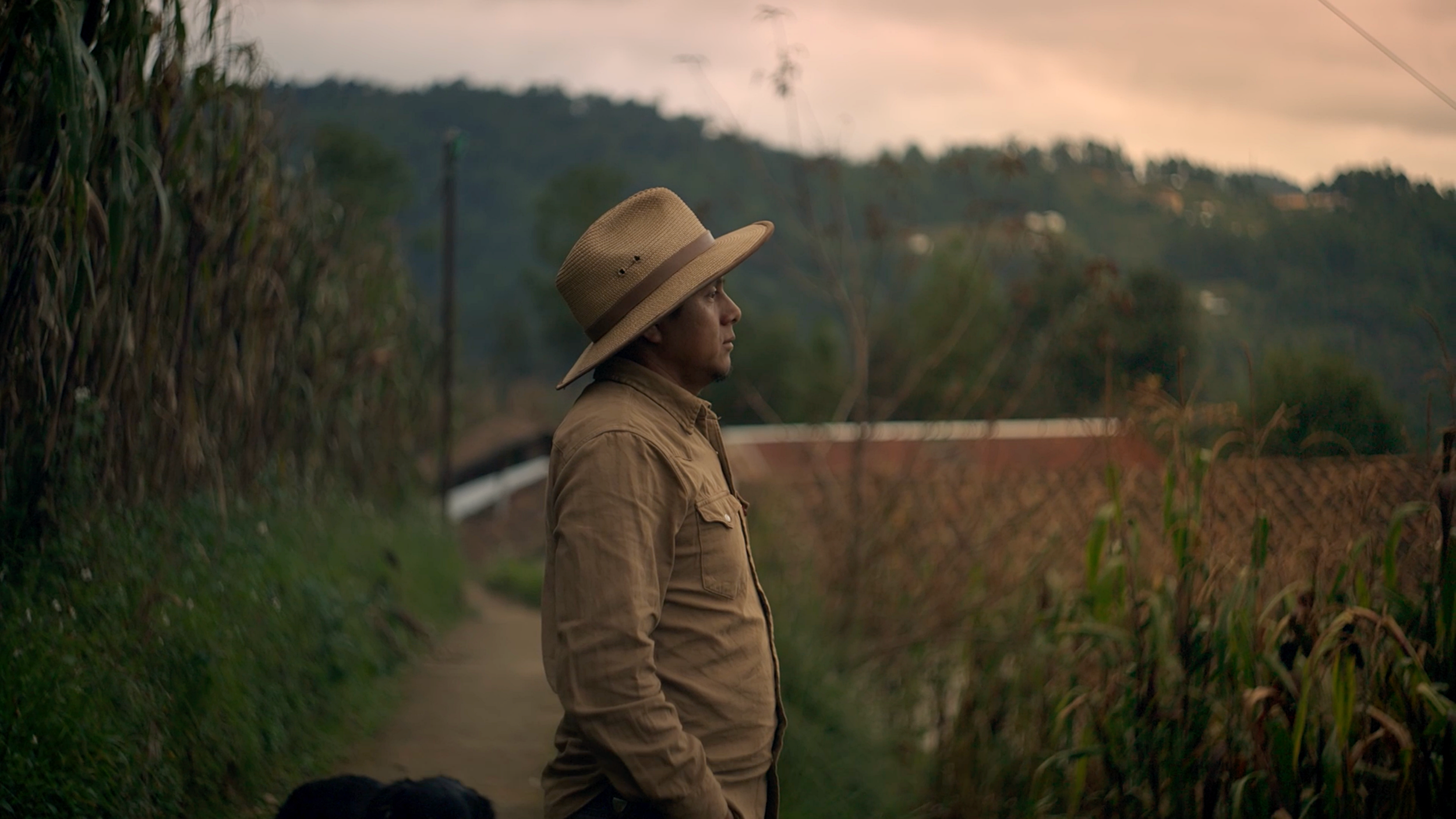 Nuestros Semillas Documentary- Cinematographer Matthew Harmer .png