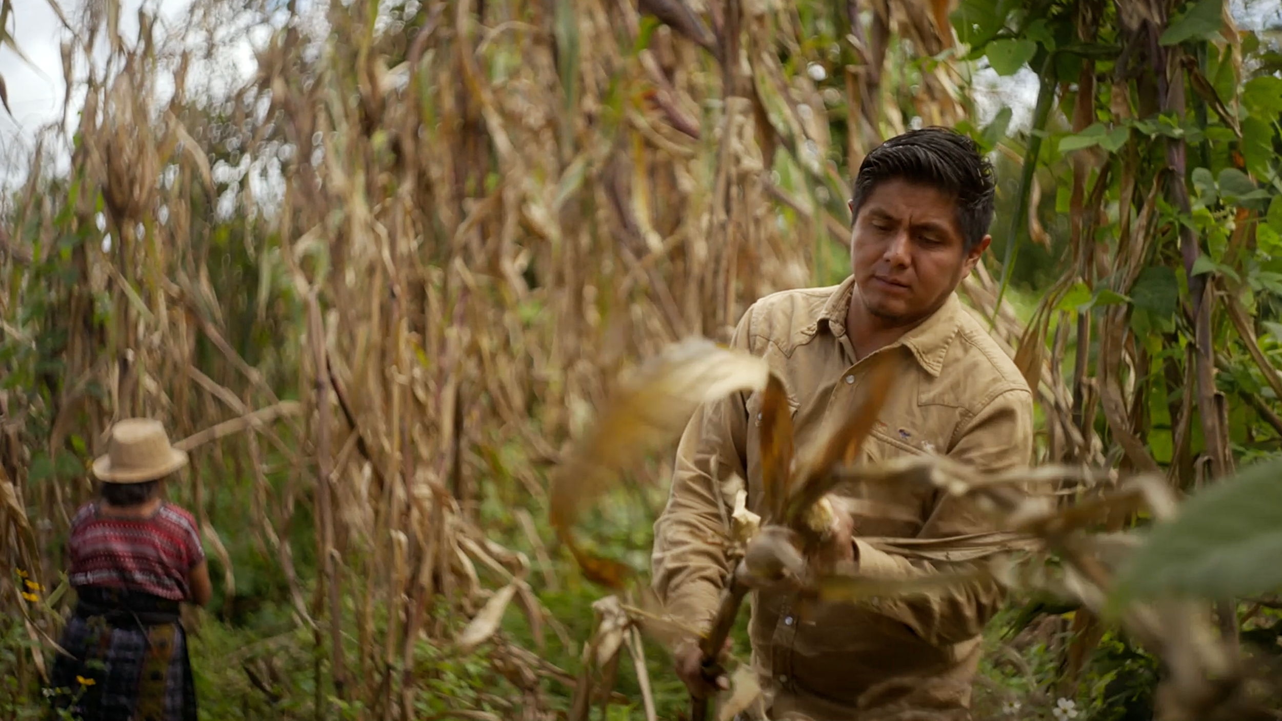 Nuestros Semillas Documentary- Cinematographer Matthew Harmer 3.png