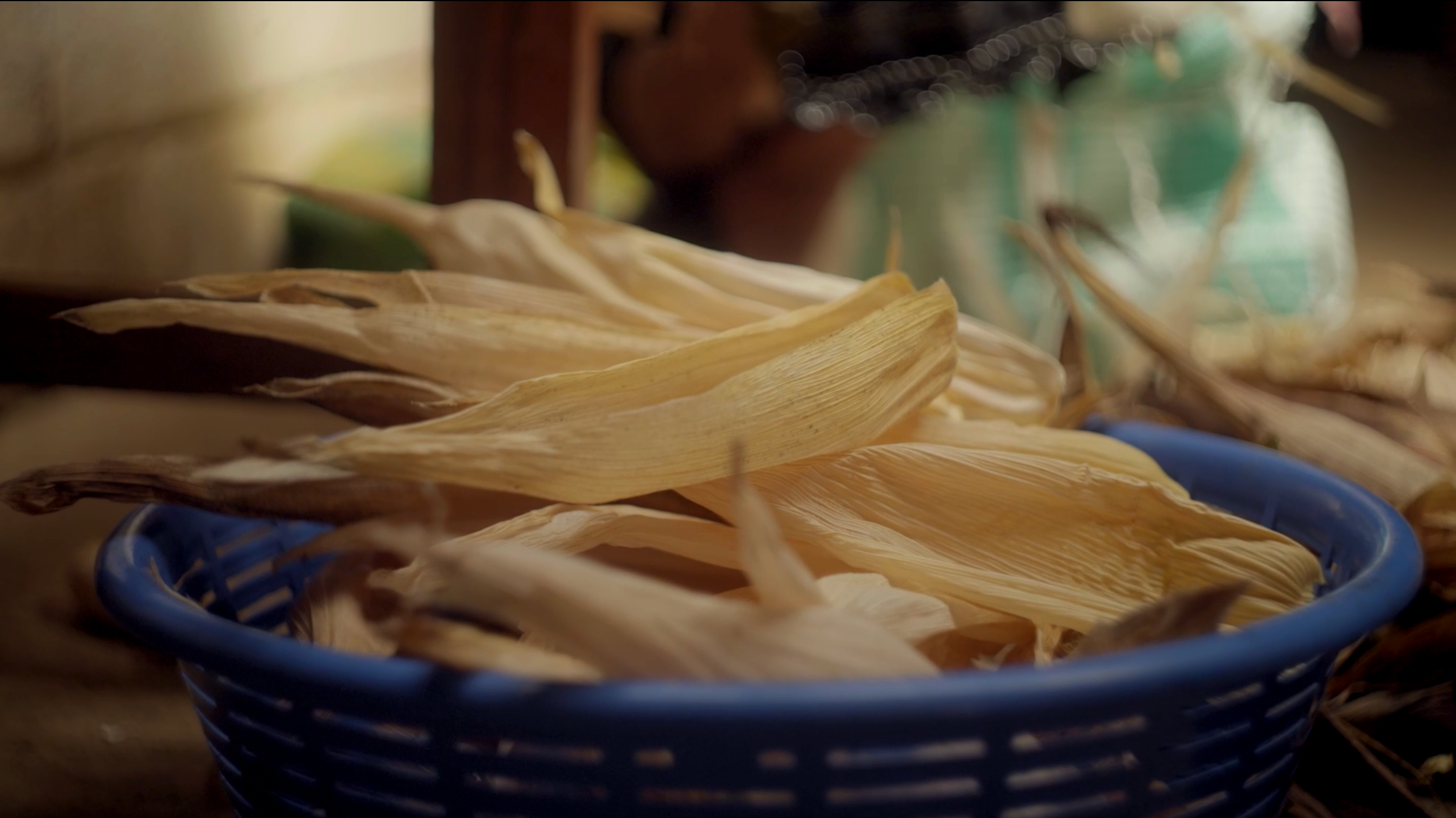 Nuestros Semillas Documentary- Cinematographer Matthew Harmer 4.png