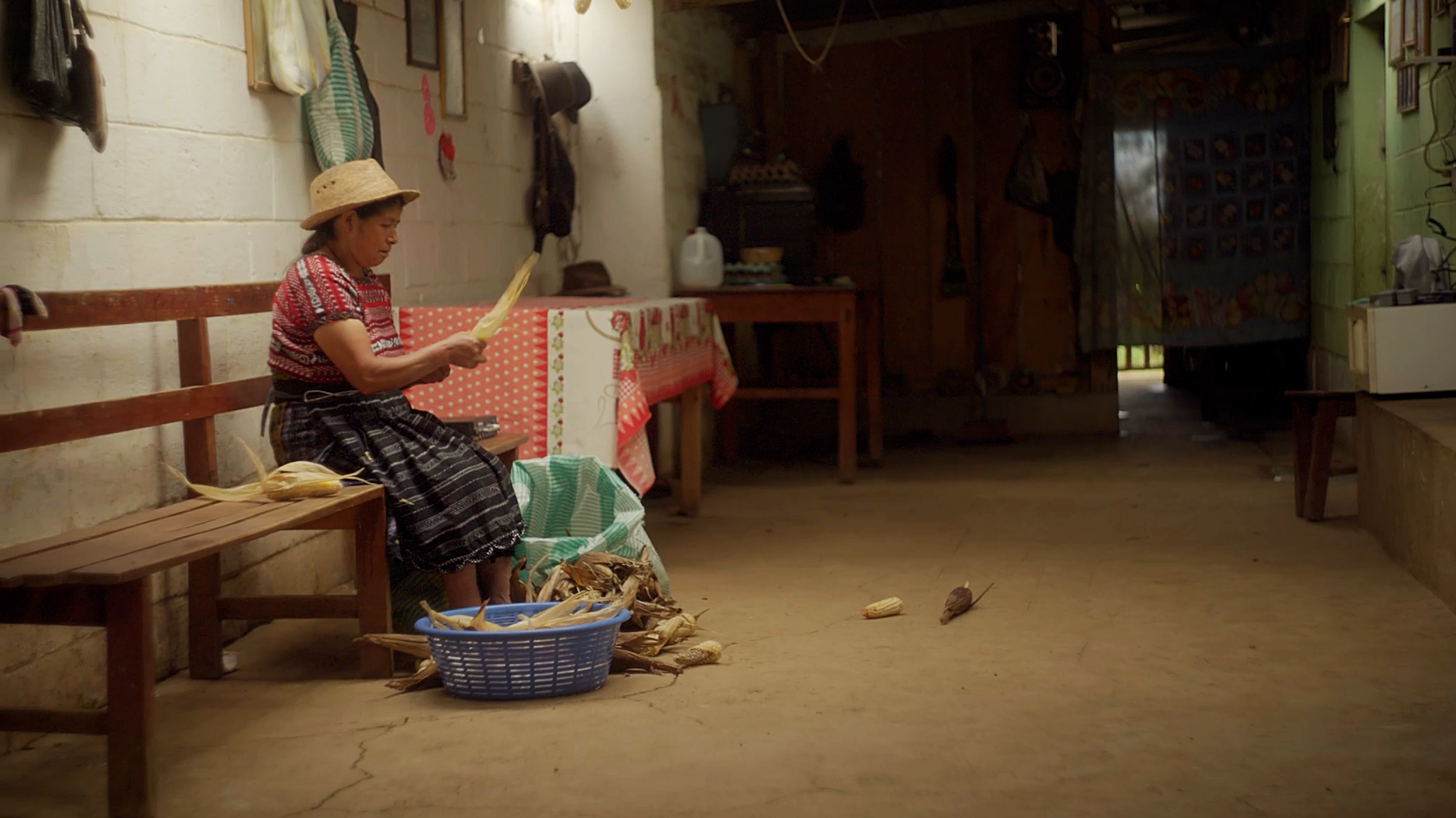 Nuestros Semillas Documentary- Cinematographer Matthew Harmer 5.png