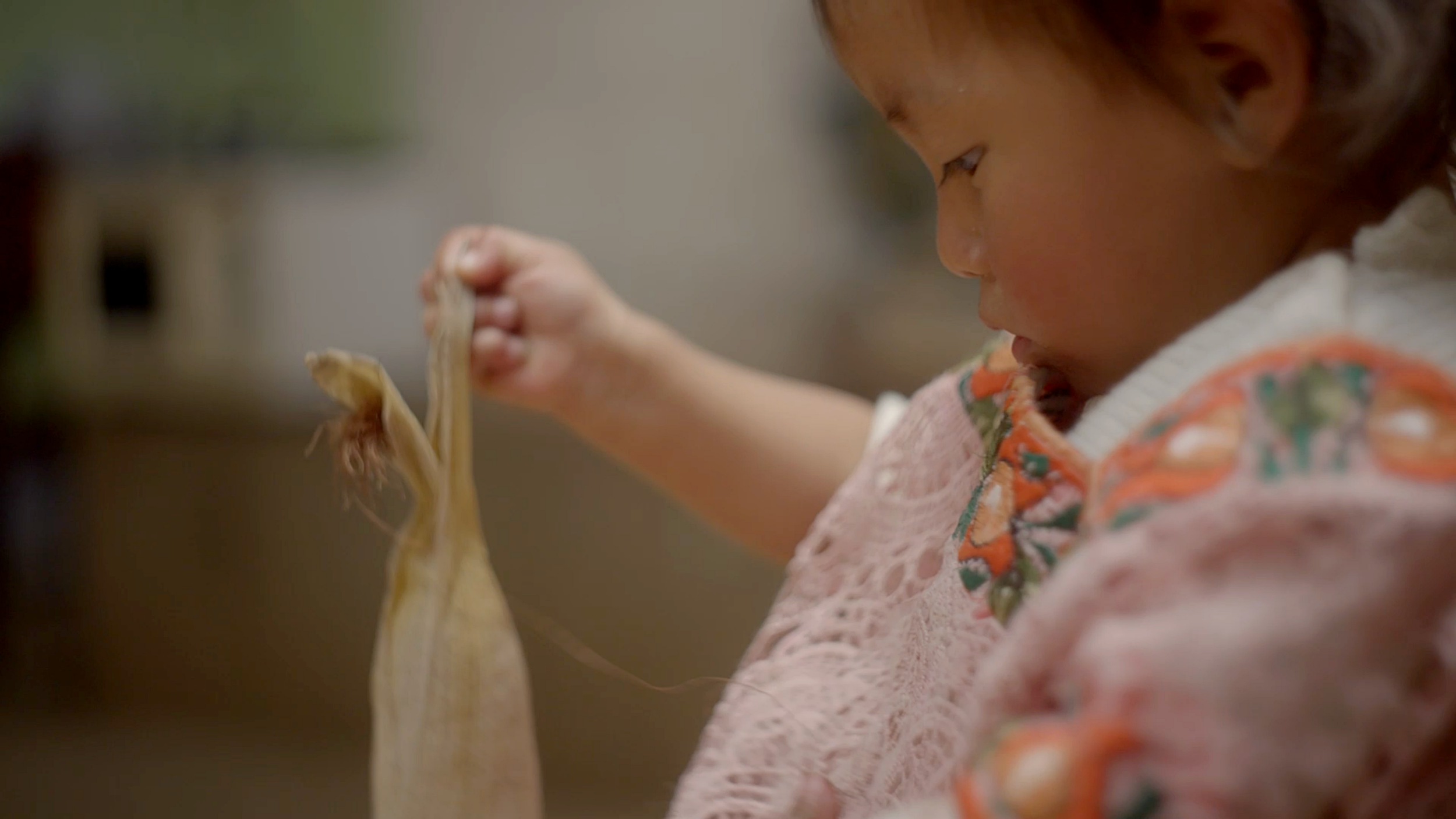 Nuestros Semillas Documentary- Cinematographer Matthew Harmer 7.png