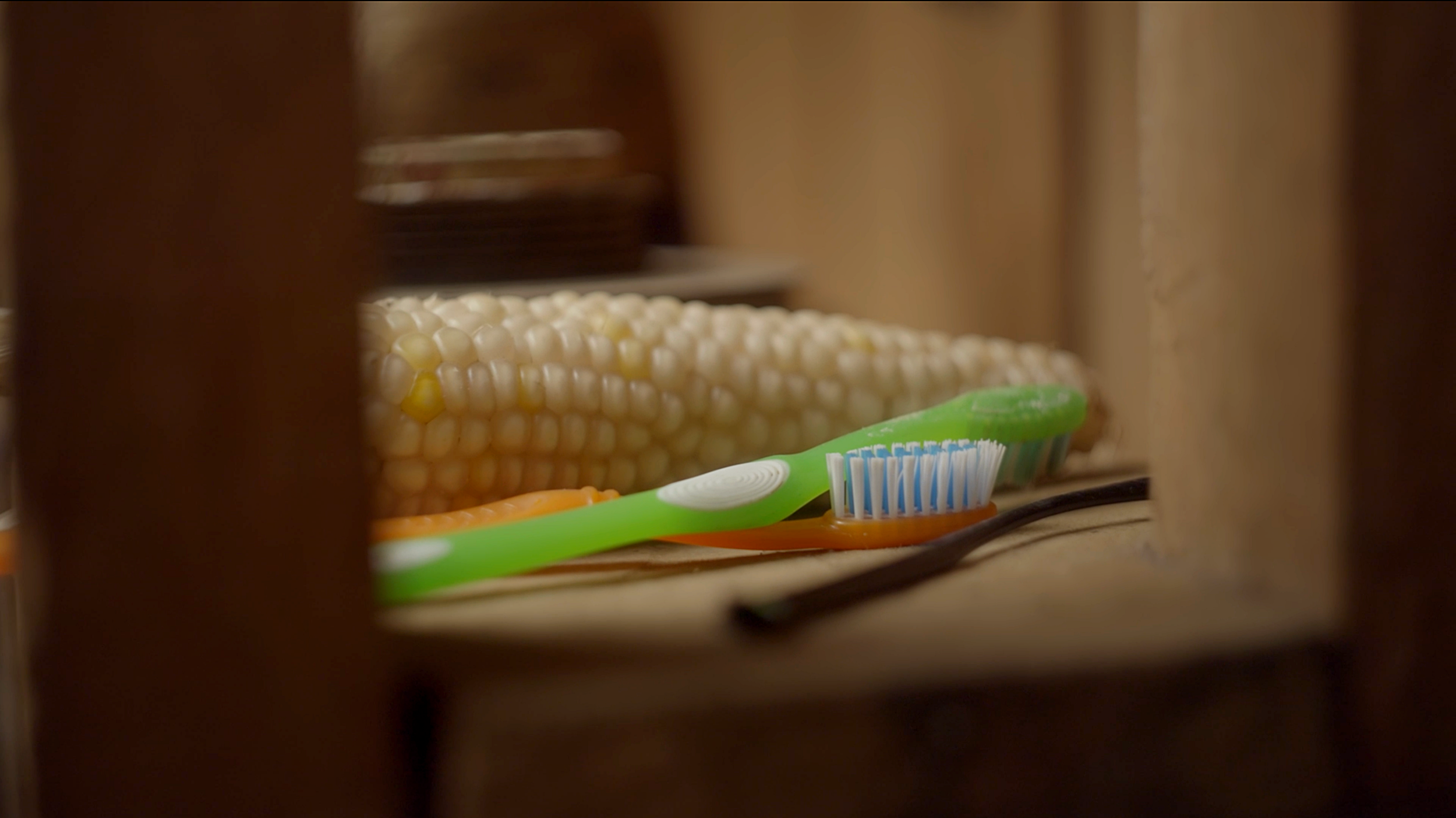 Nuestros Semillas Documentary- Cinematographer Matthew Harmer 10.png