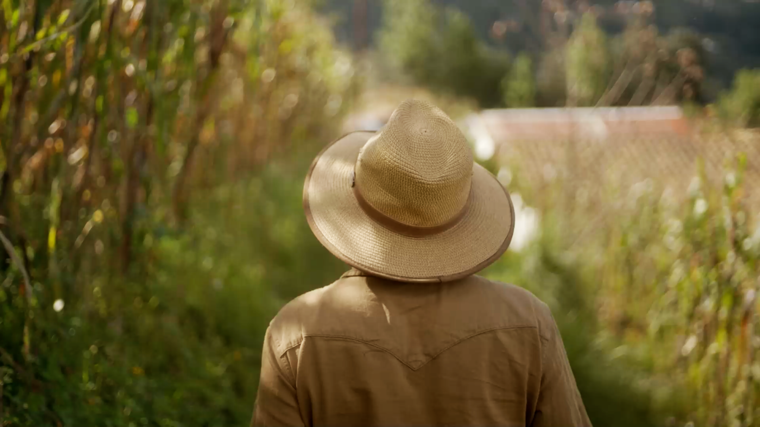Nuestros Semillas Documentary- Cinematographer Matthew Harmer 11.png
