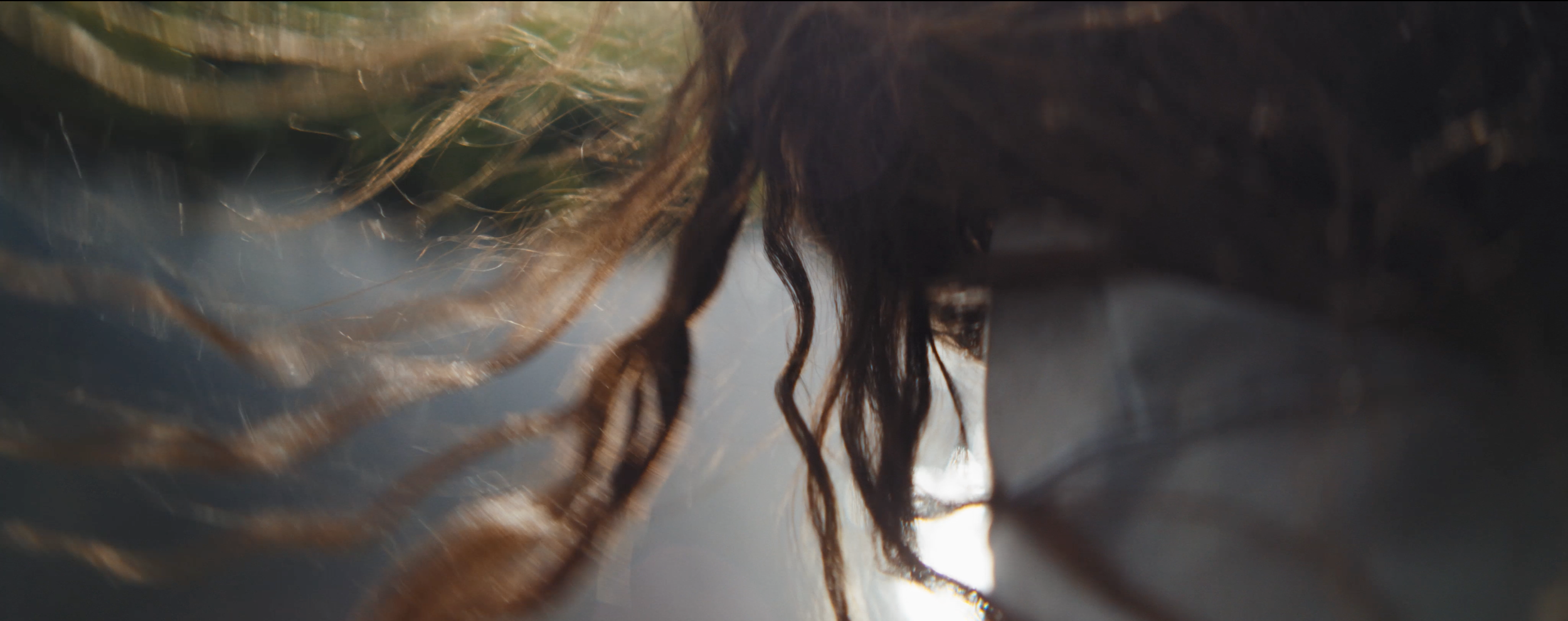 Matthew Harmer - Documentary Cinematographer - Wildlife Trusts 4.png