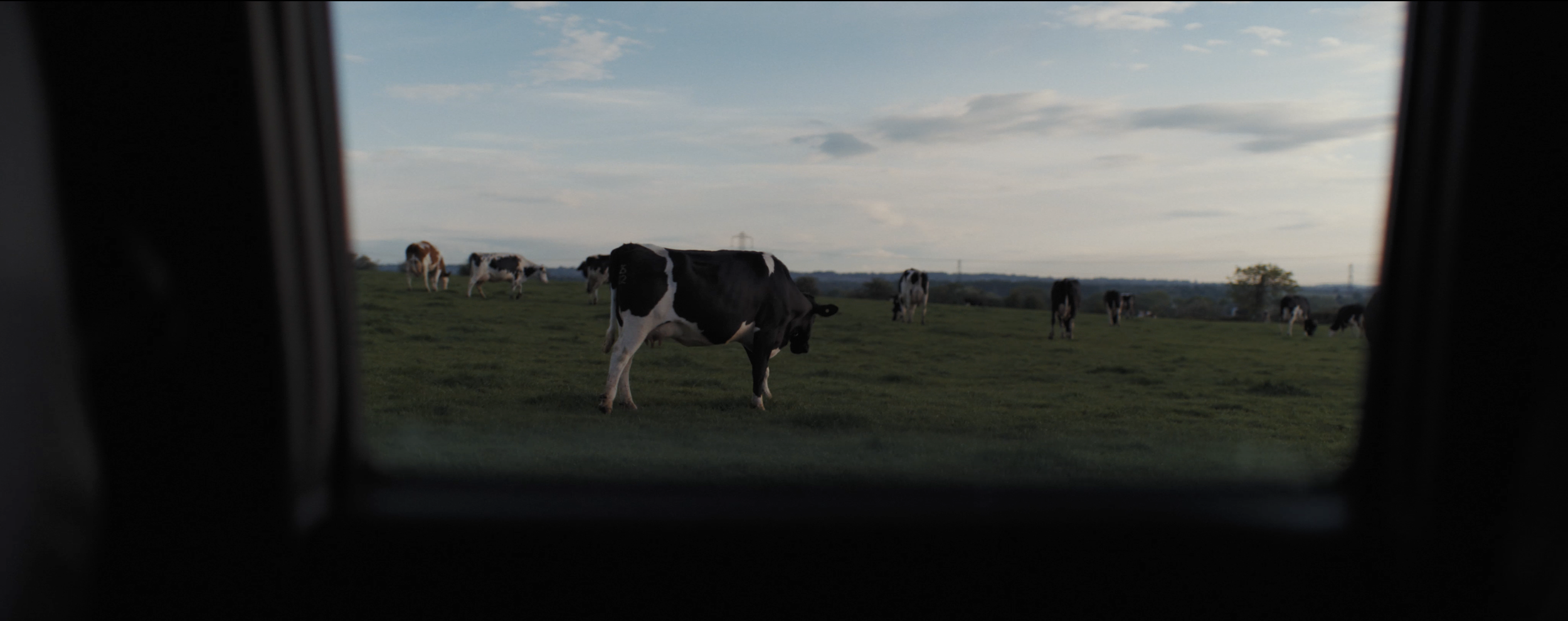 Matthew Harmer - Documentary Cinematographer - Wildlife Trusts 6.png