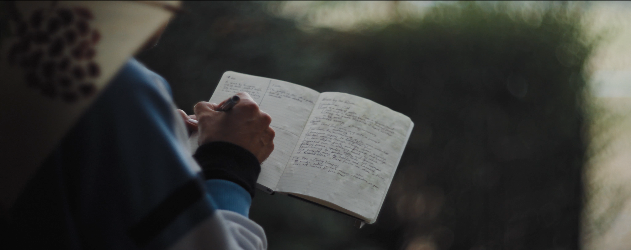 Matthew Harmer - Documentary Cinematographer - Wildlife Trusts 7.png