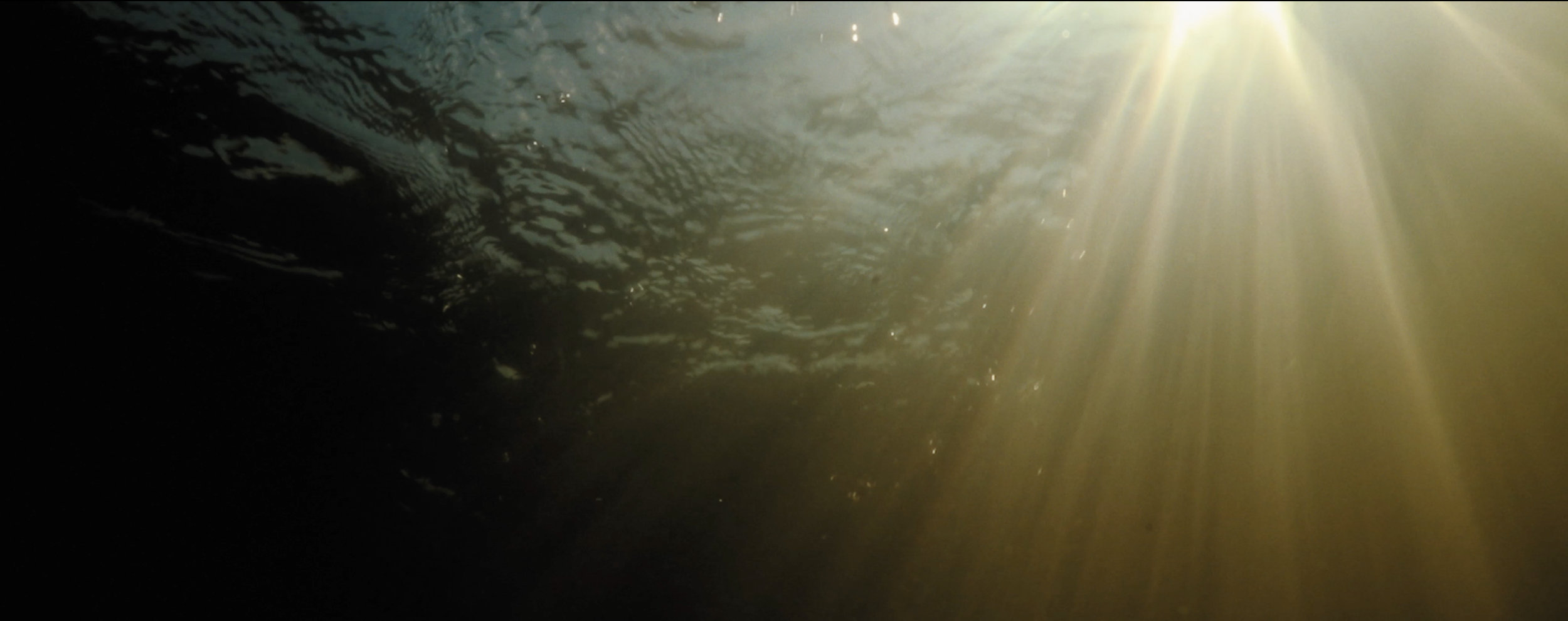 Matthew Harmer - Documentary Cinematographer - Wildlife Trusts 11.png
