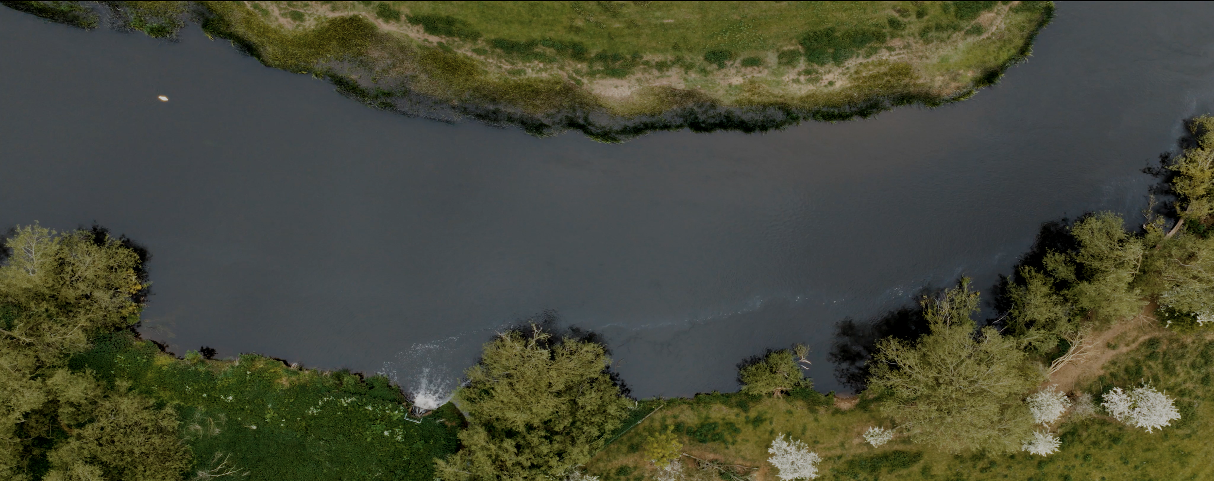 Matthew Harmer - Documentary Cinematographer - Wildlife Trusts 15.png