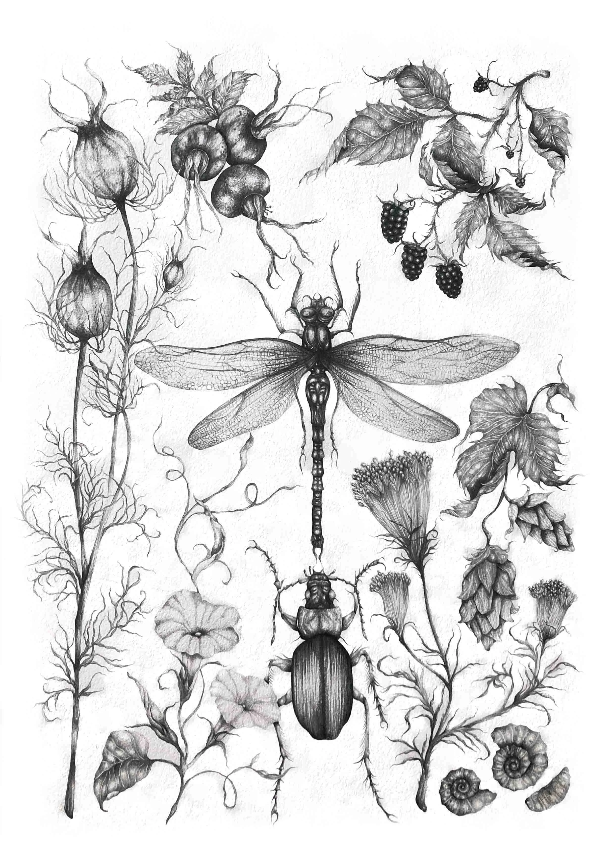 September low res.jpg