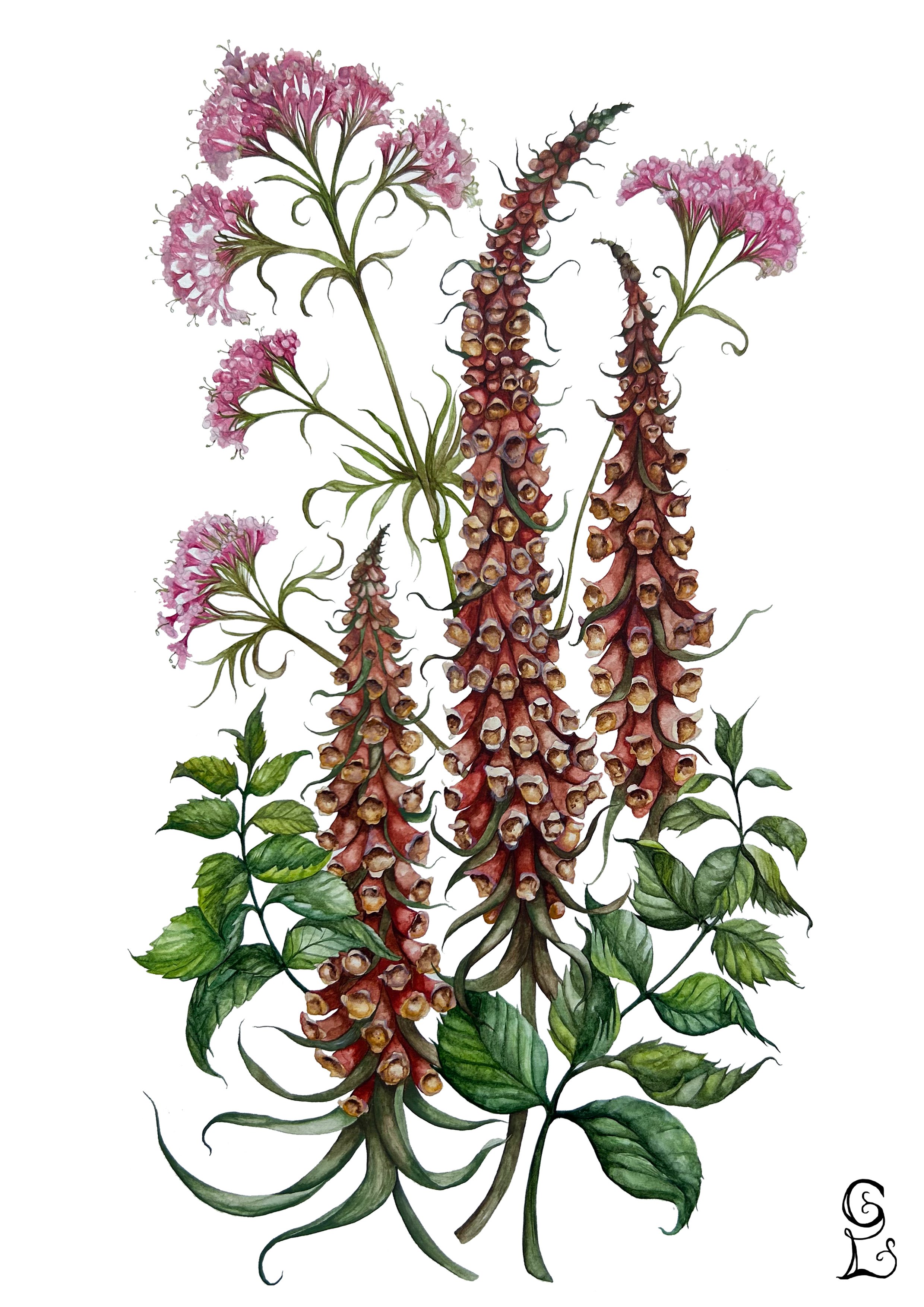 Wellbeing Print A4 copy.jpg