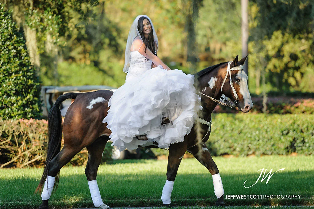 Bride with horse at wedding Golden Ocala