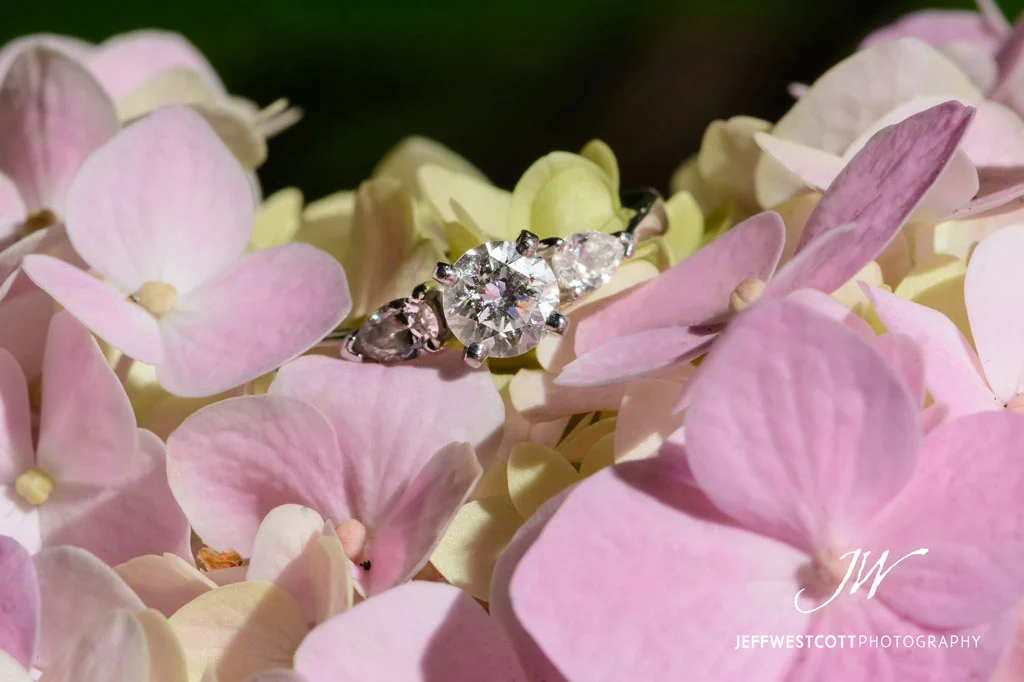 engagement Jacksonville wedding photographer
