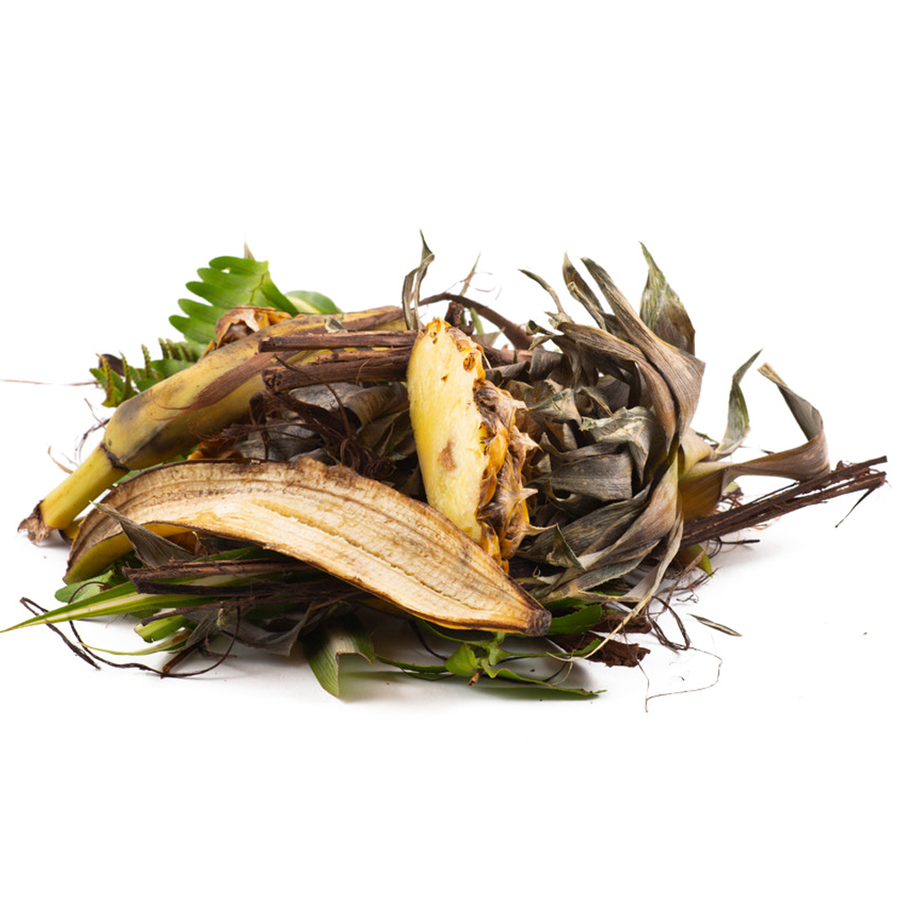 Agraloop-food-crop-waste-2.png